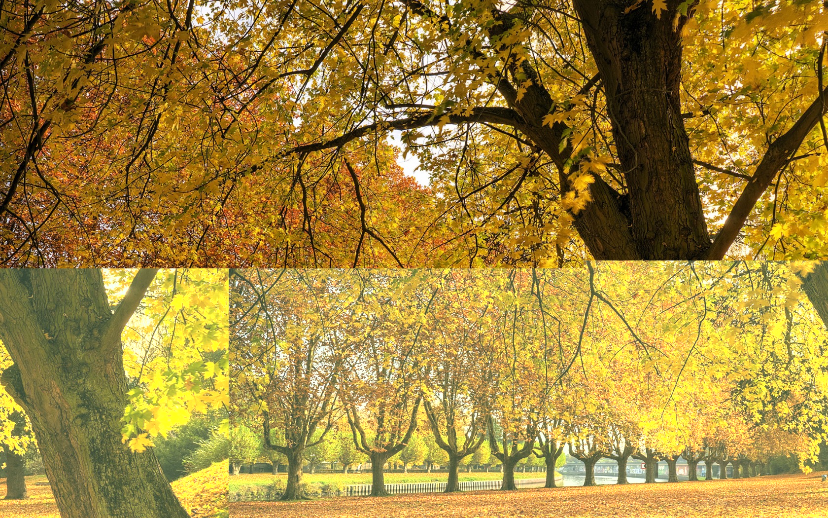 Golden Autumn Wallpaper Autumn Nature Wallpaper in jpg format