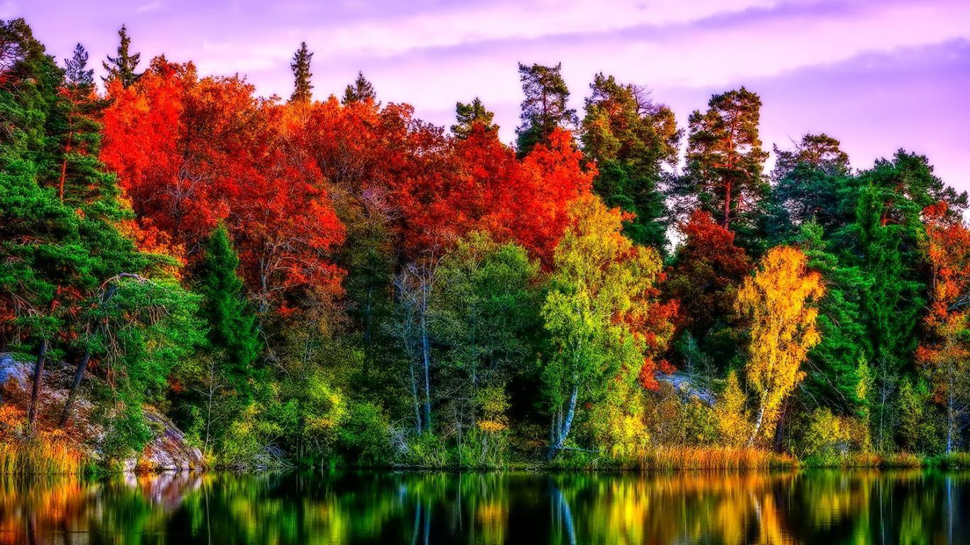 Lakes: Glow Pretty Golden Fall Shine Branches Beautifu Lovely
