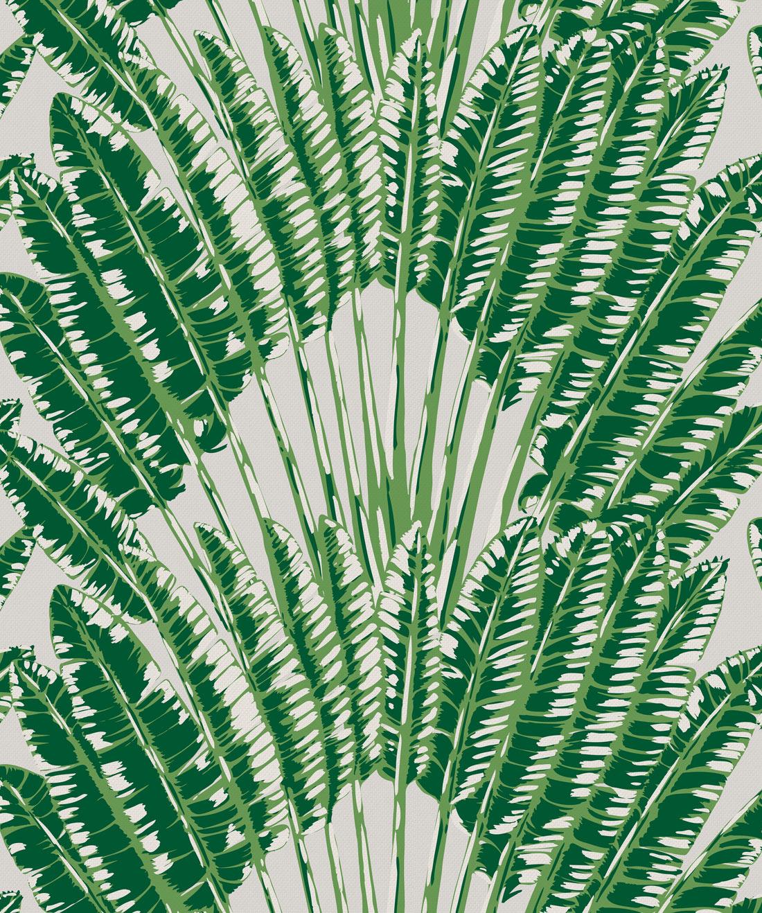 Feather Palm Wallpaper • BIG Bold Leaf