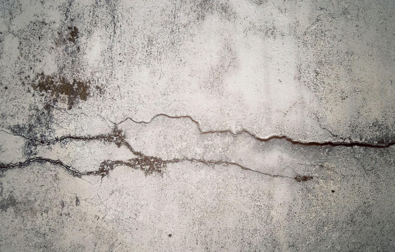 Wallpaper wall, moss, concrete, crack, crack in time, fancq image for desktop, section текстуры