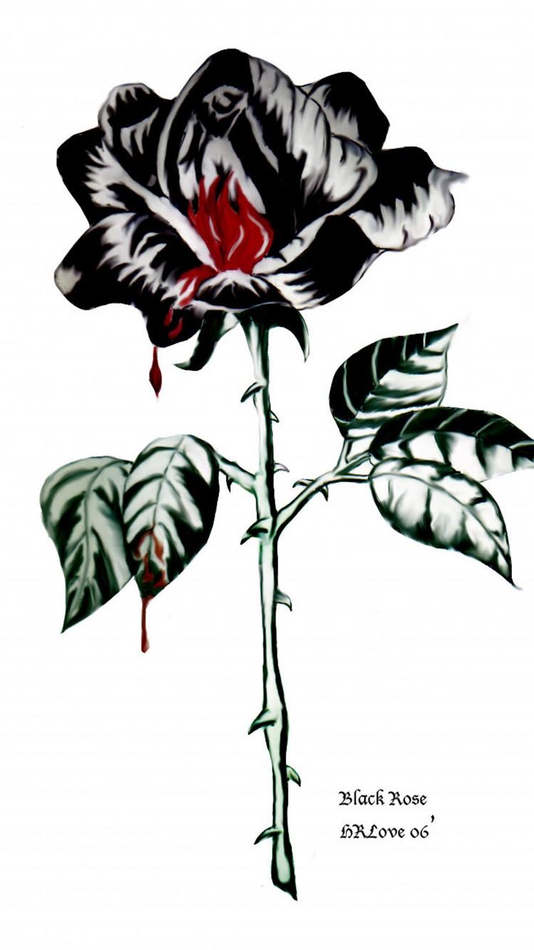 Download Black Rose Aeonium, Black Rose Antiques Wallpaper