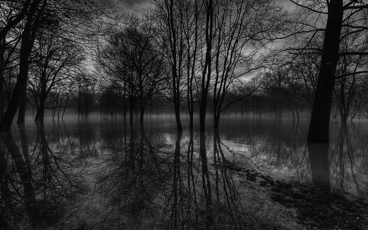 Get black and white scenic landscape wallpaper 3 black and white