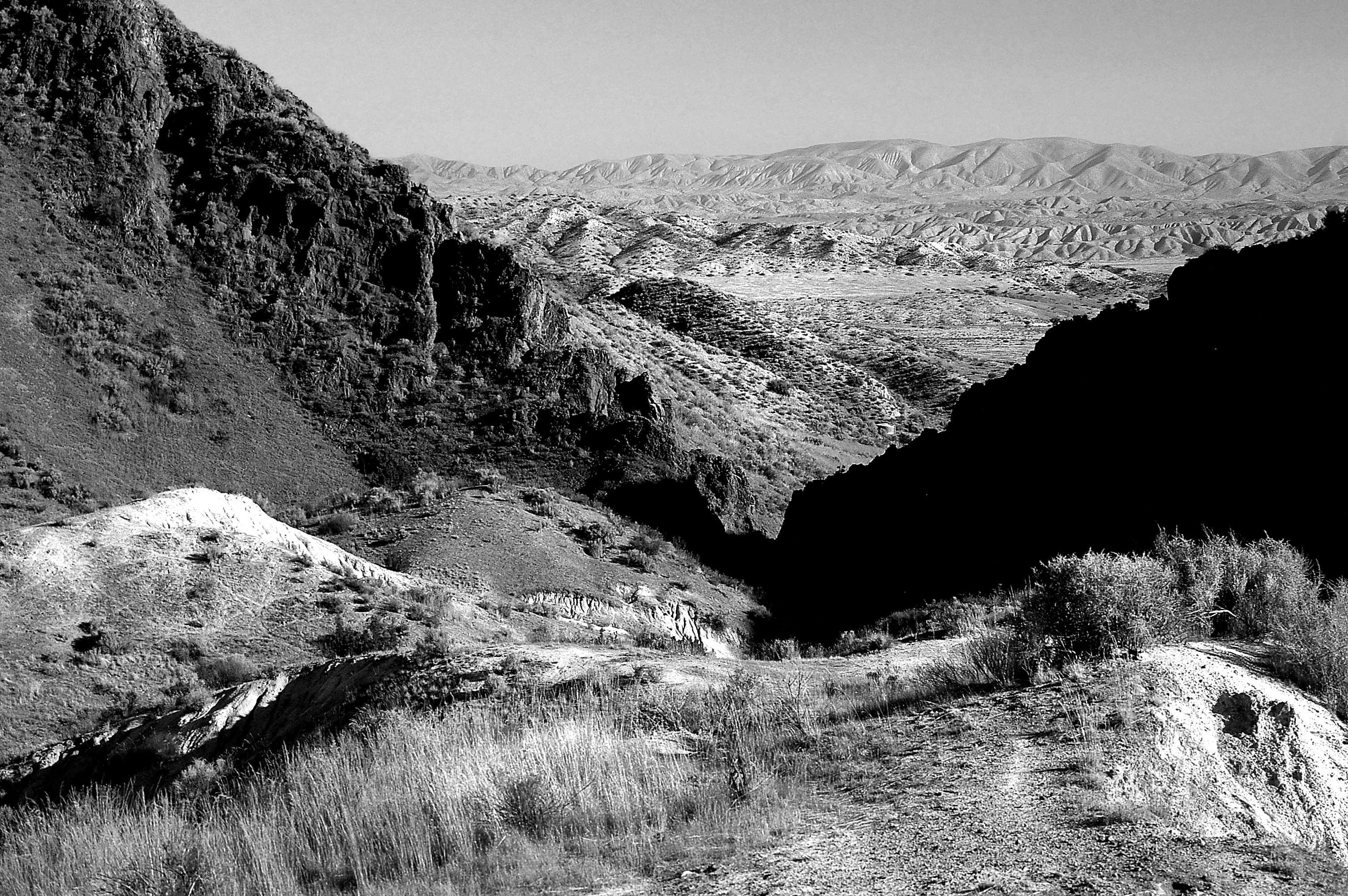 black and white, bushes, grass, hill, landscape, mountain