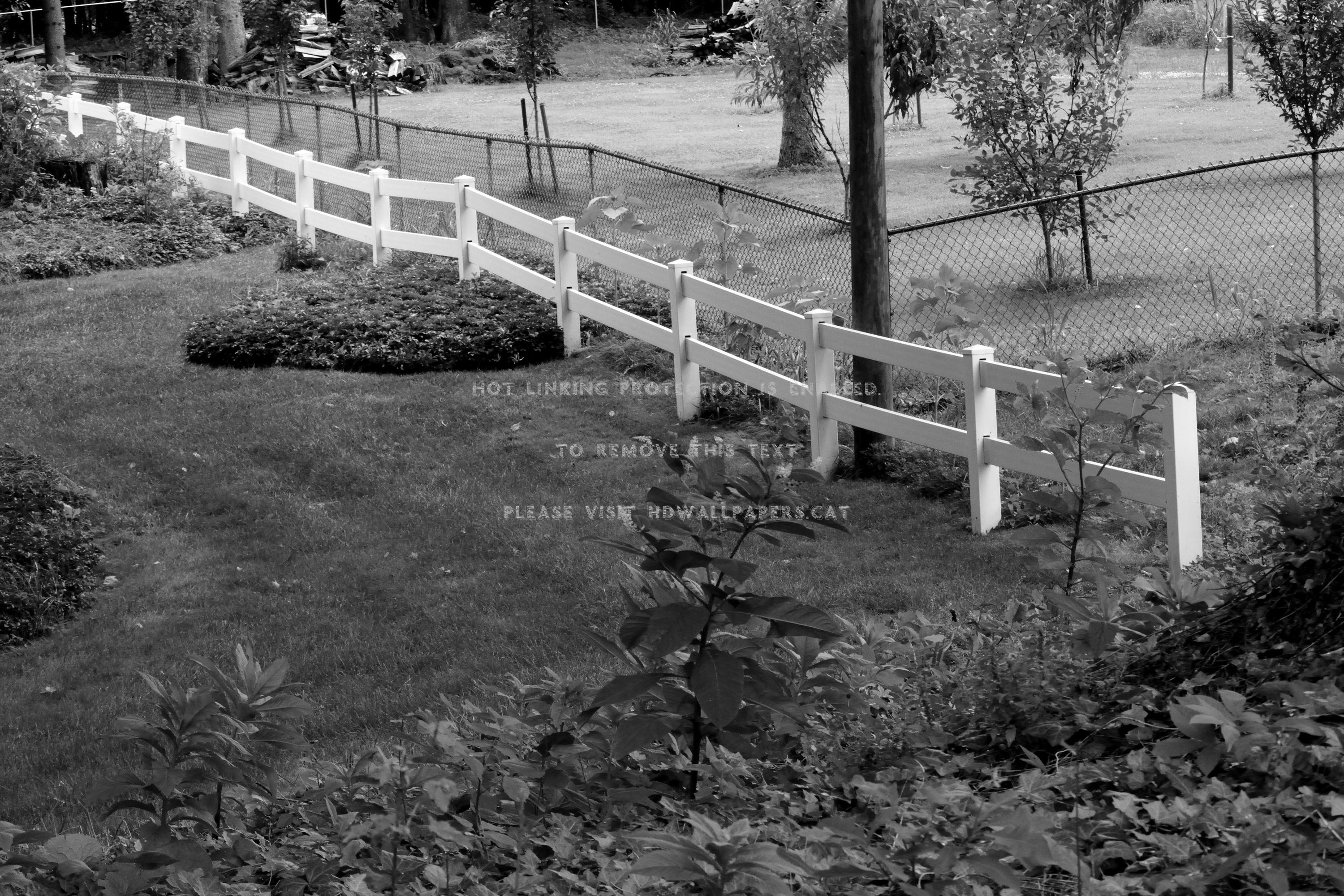 white summer fence monochrome scenic black