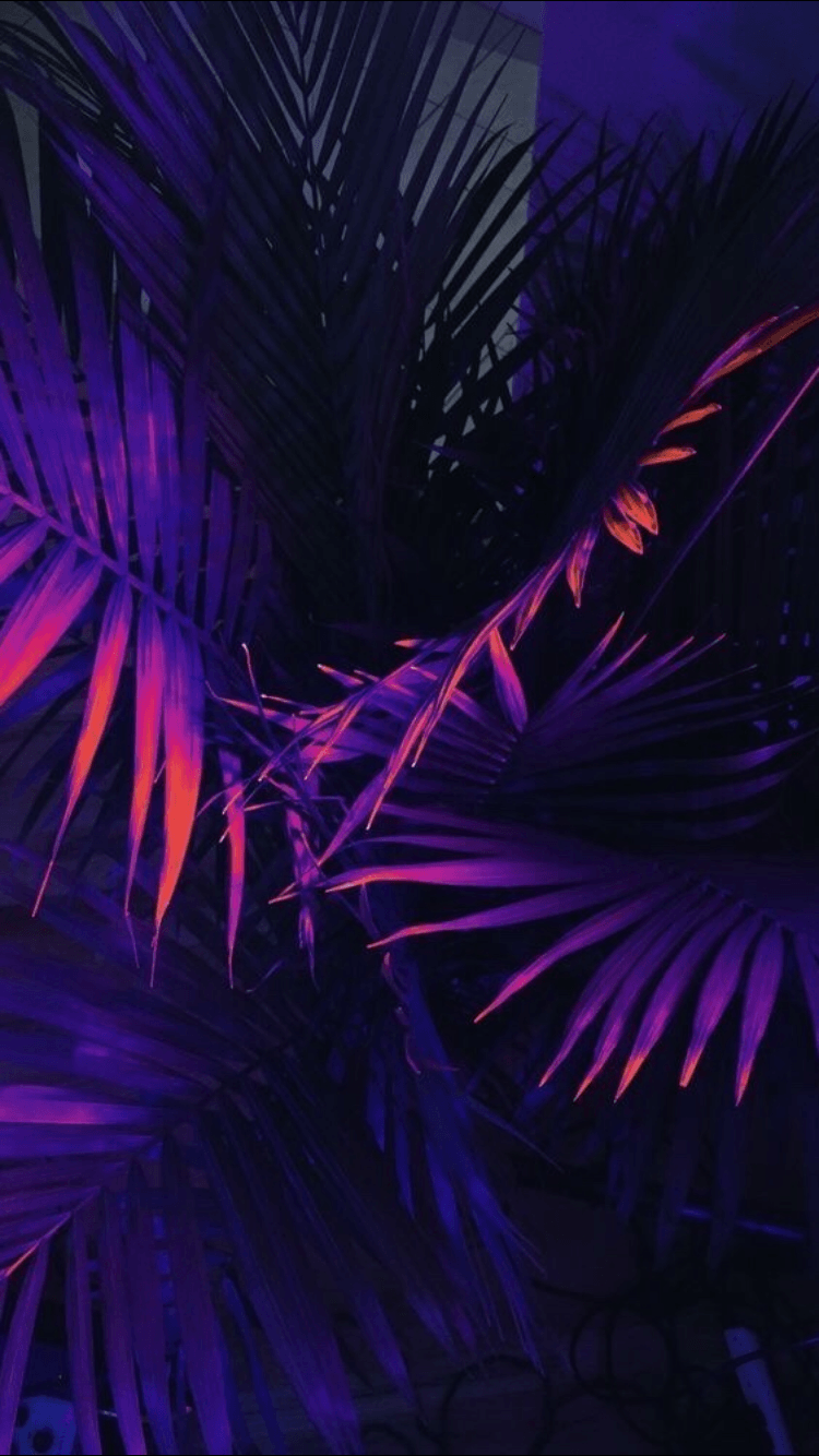 Purple Aesthetic iPhone Wallpaper Free Purple Aesthetic iPhone Background