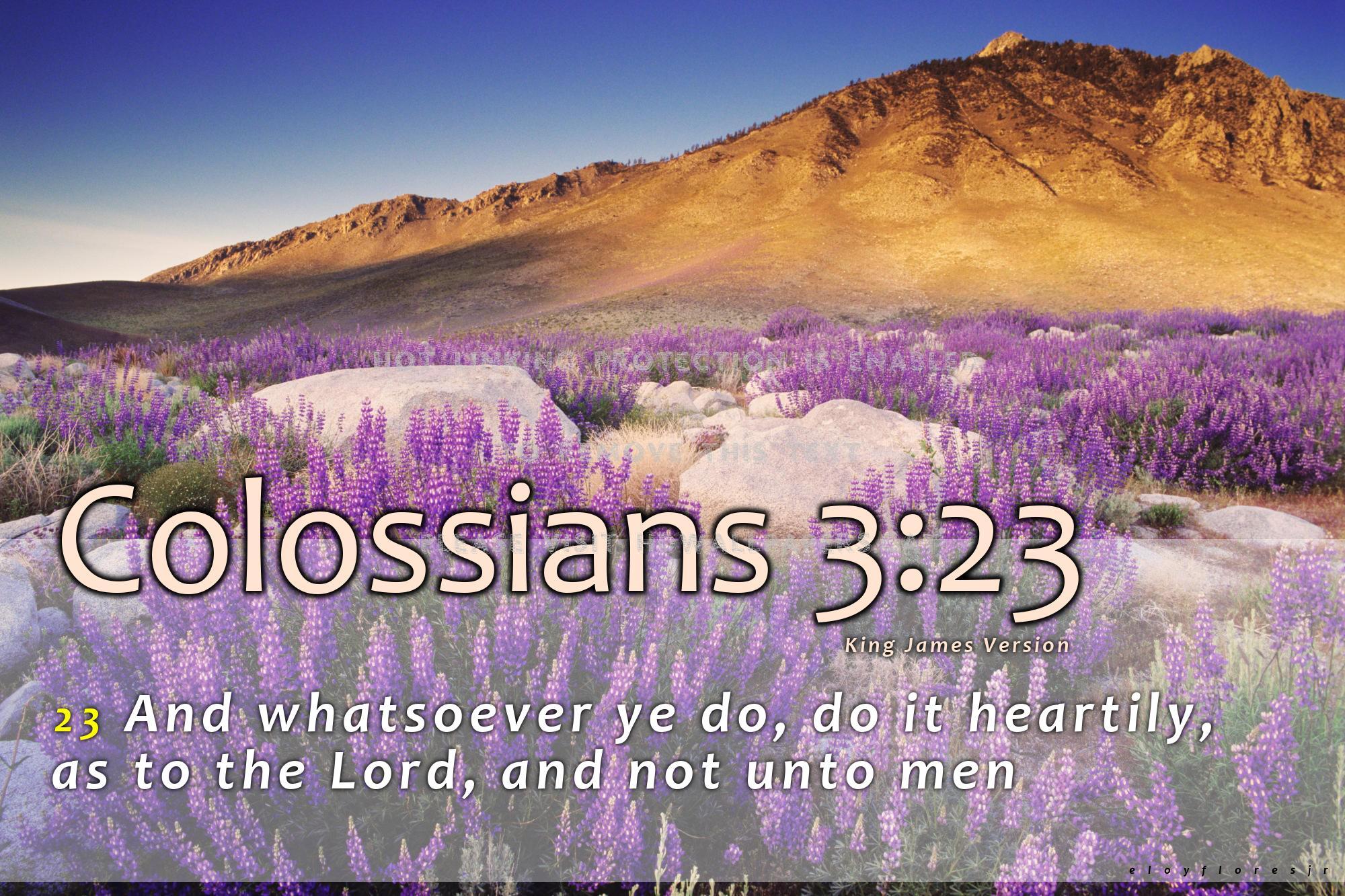 Colossians 3 23 Background March