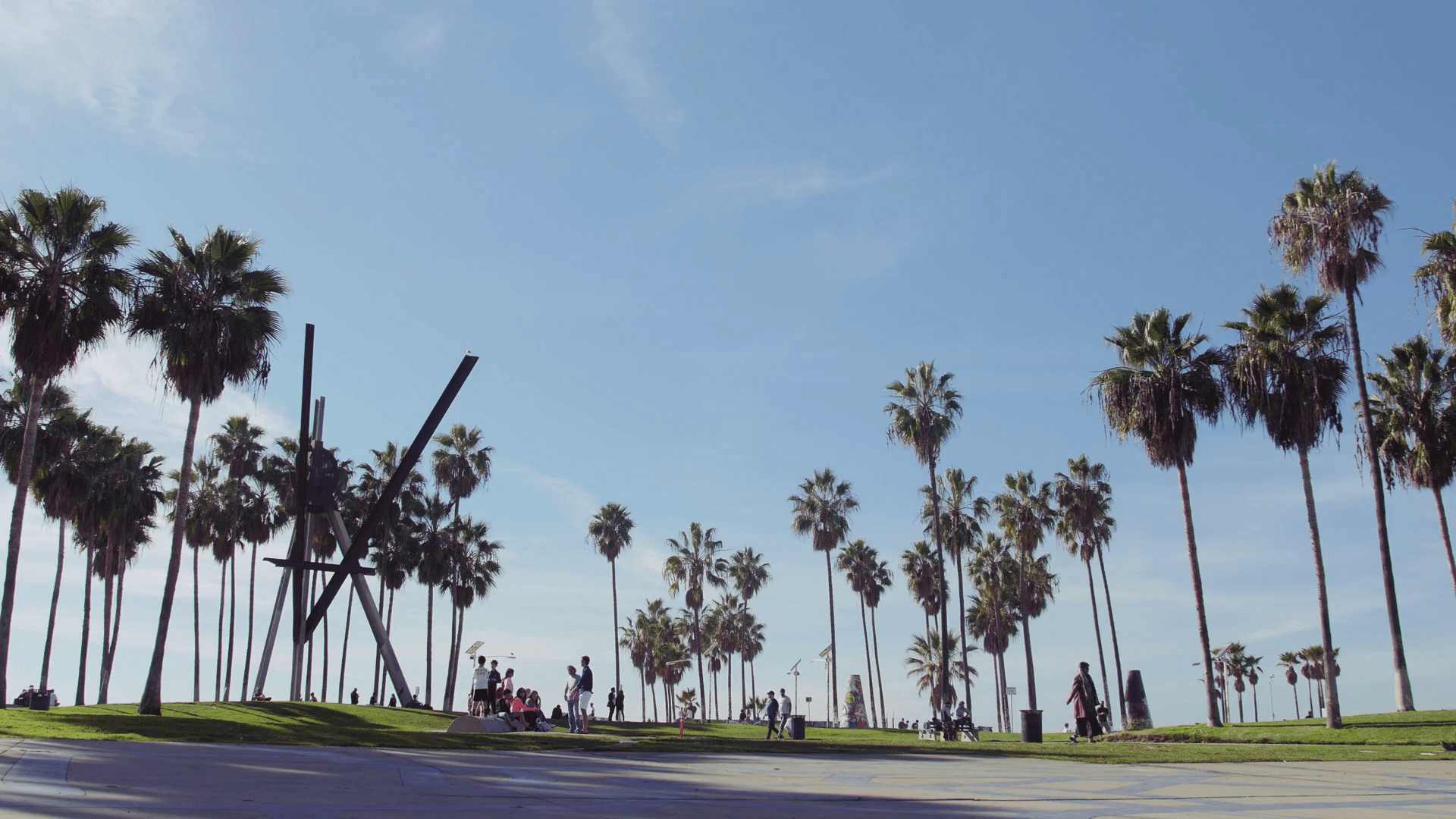 Venice Beach Palm Trees & Blue Sky Scenic, Los Angeles California Stock Video Footage