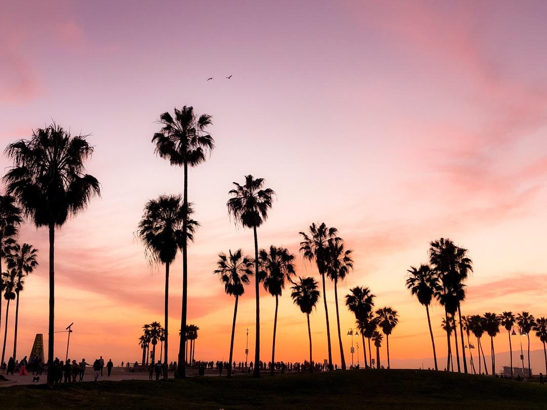 Beautiful Venice Beach Picture. Download Free Image