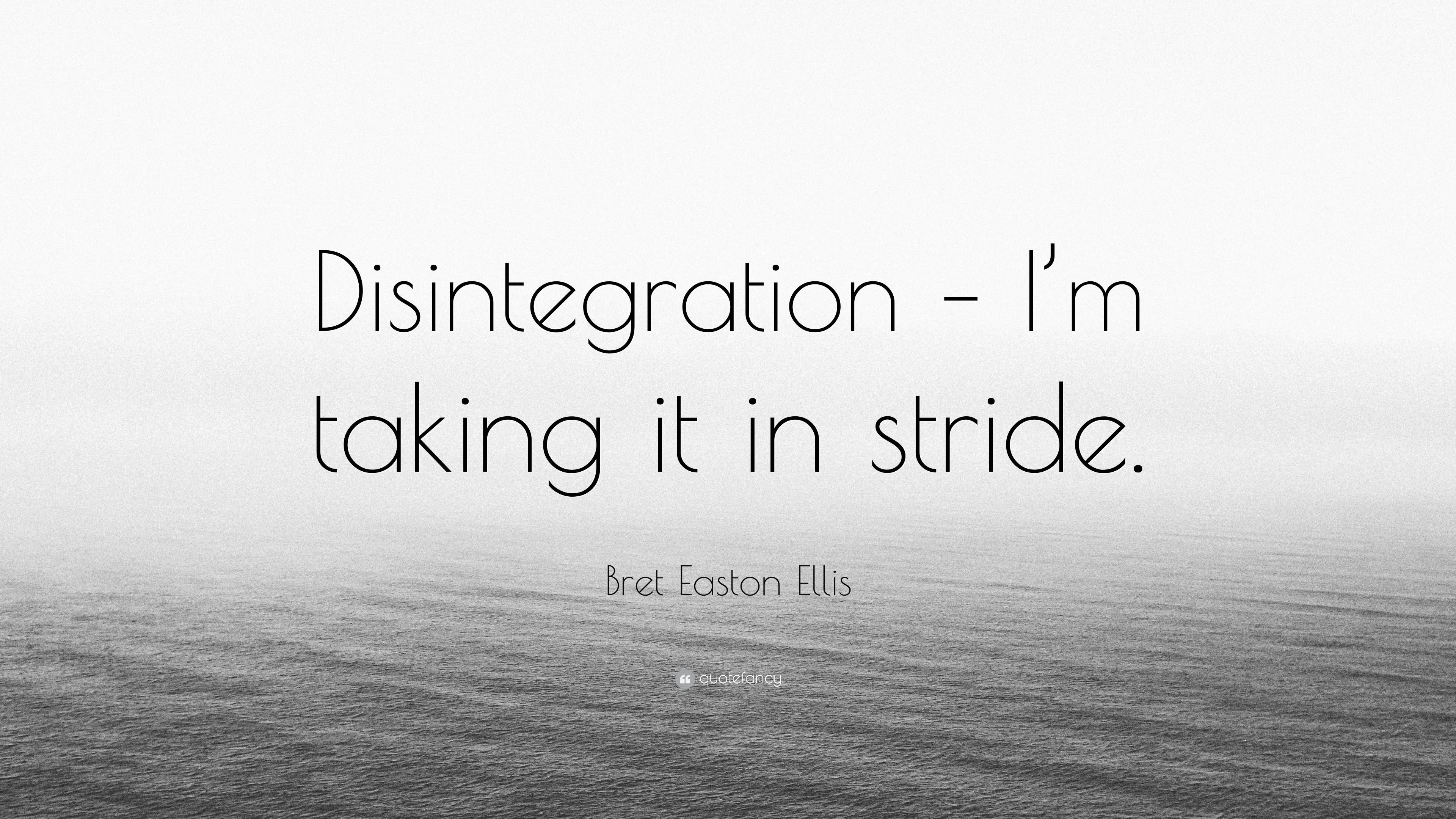 Bret Easton Ellis Quote: “Disintegration