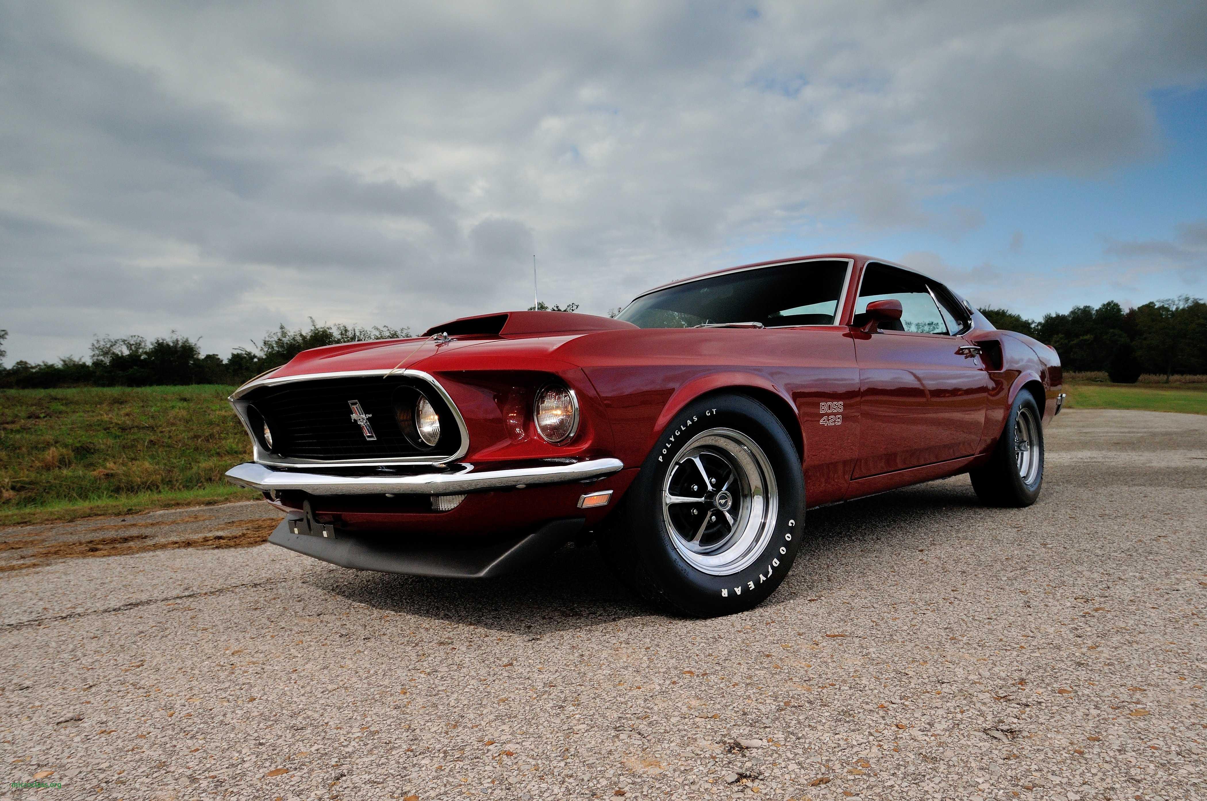 Ford Mustang 1969 Wallpaper Group , Download for free