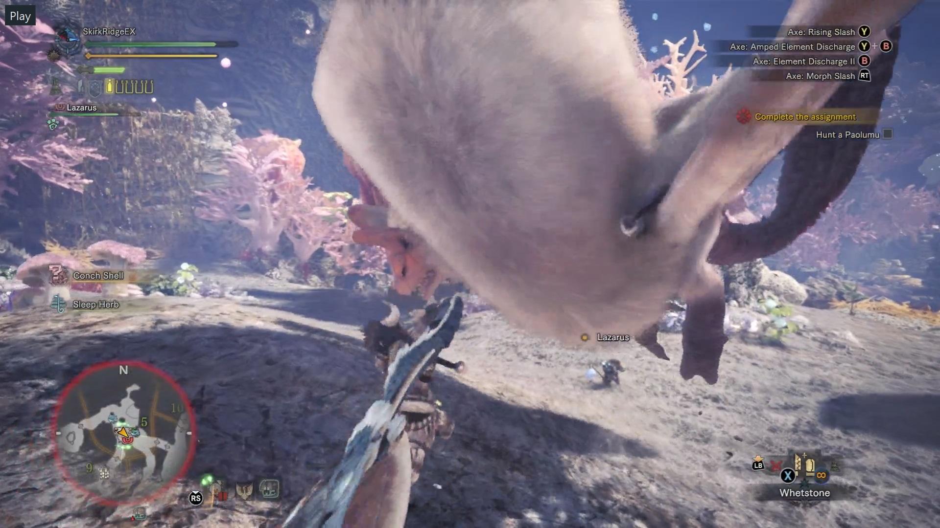 Monster Hunter: World Paolumu: how to kill it, what is its weakness
