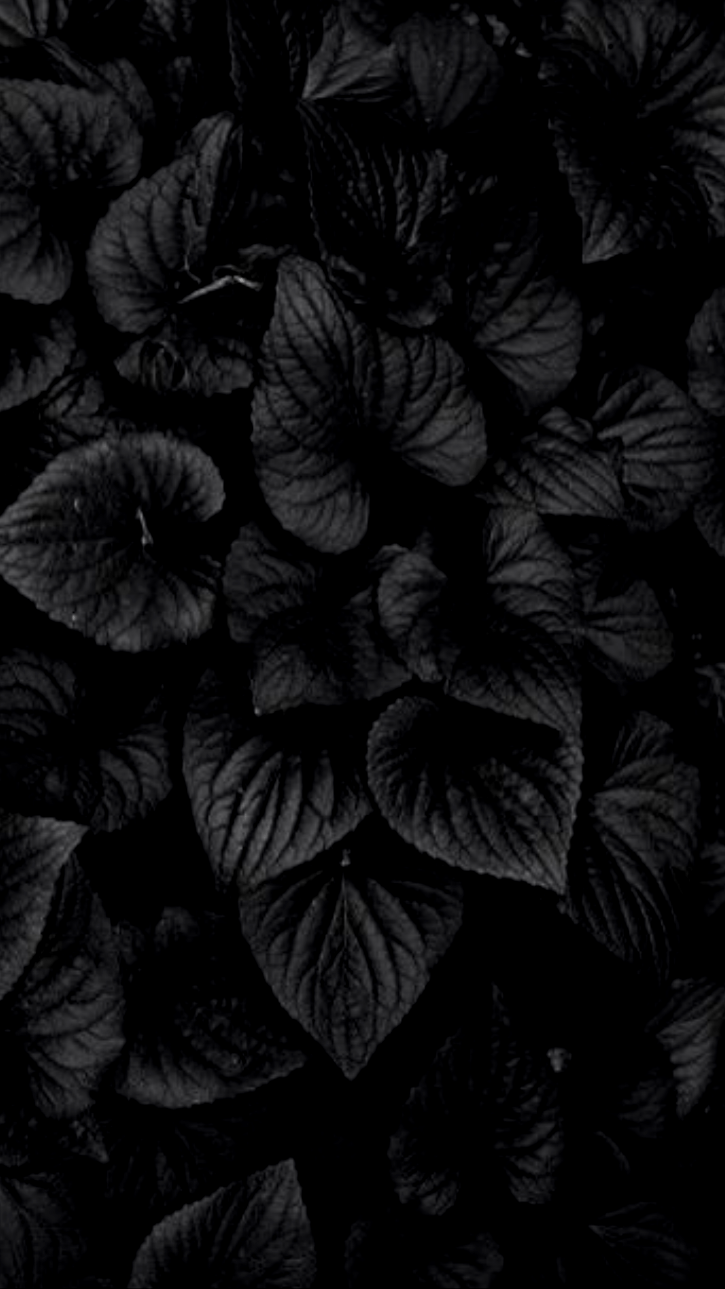 Flowers in negative black aesthetic flowers HD phone wallpaper  Pxfuel