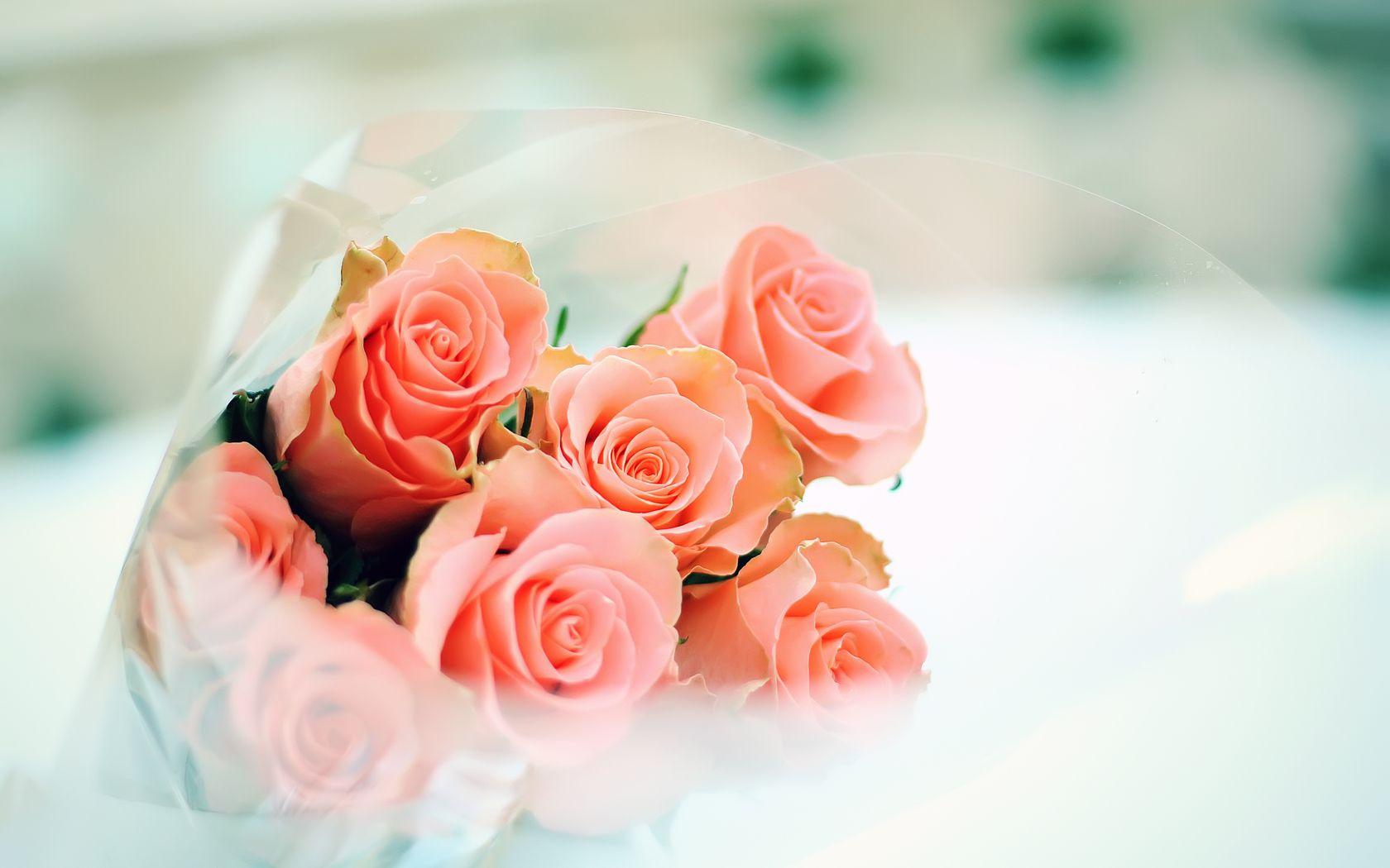 Cute Rose Bouquet Wallpaper Free HD Wallpaper Download. Roses