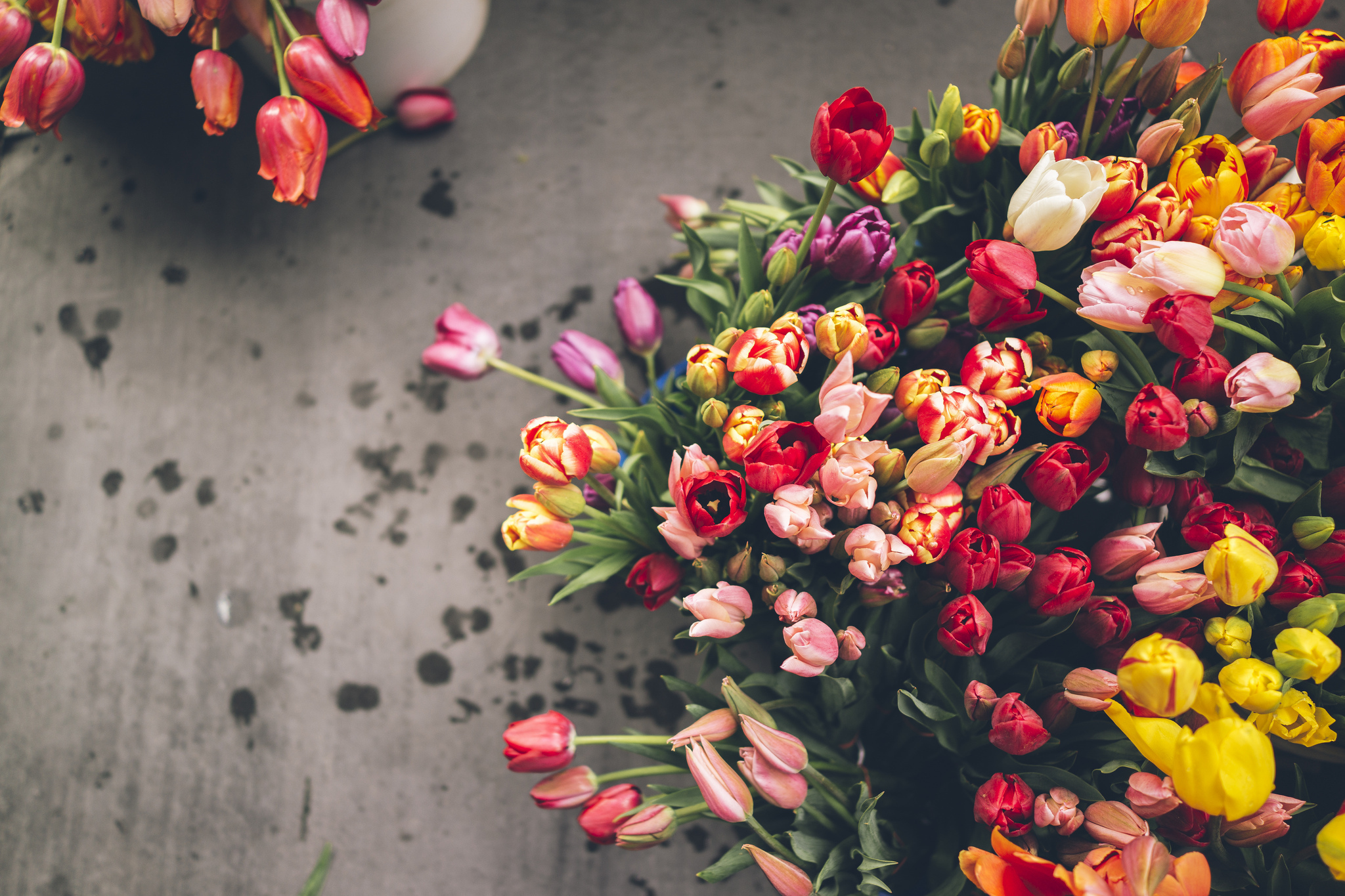 Long-Lasting Cut Flowers for Your Bouquets - Dengarden