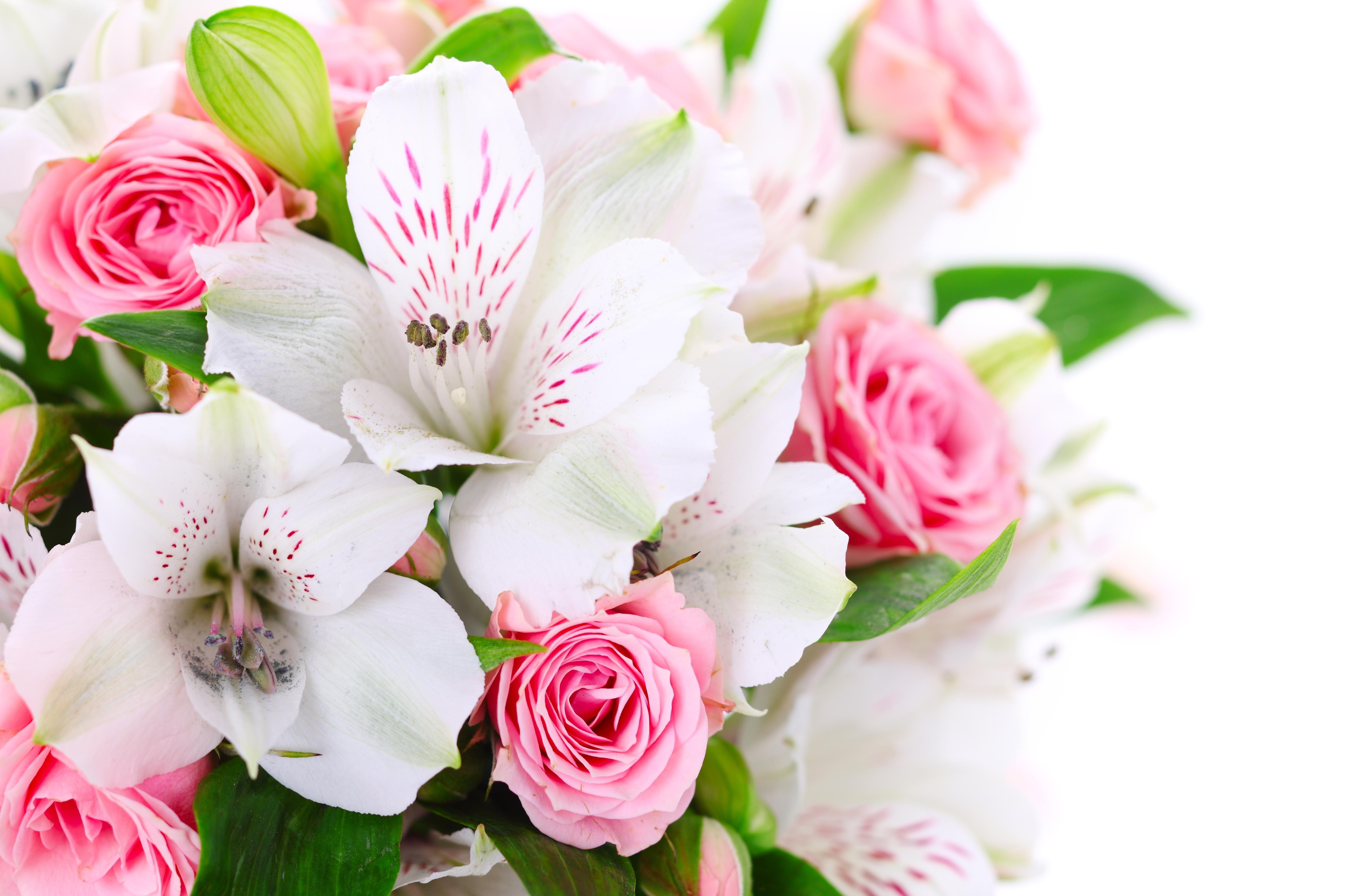 Flowers Bouquet Wallpaper