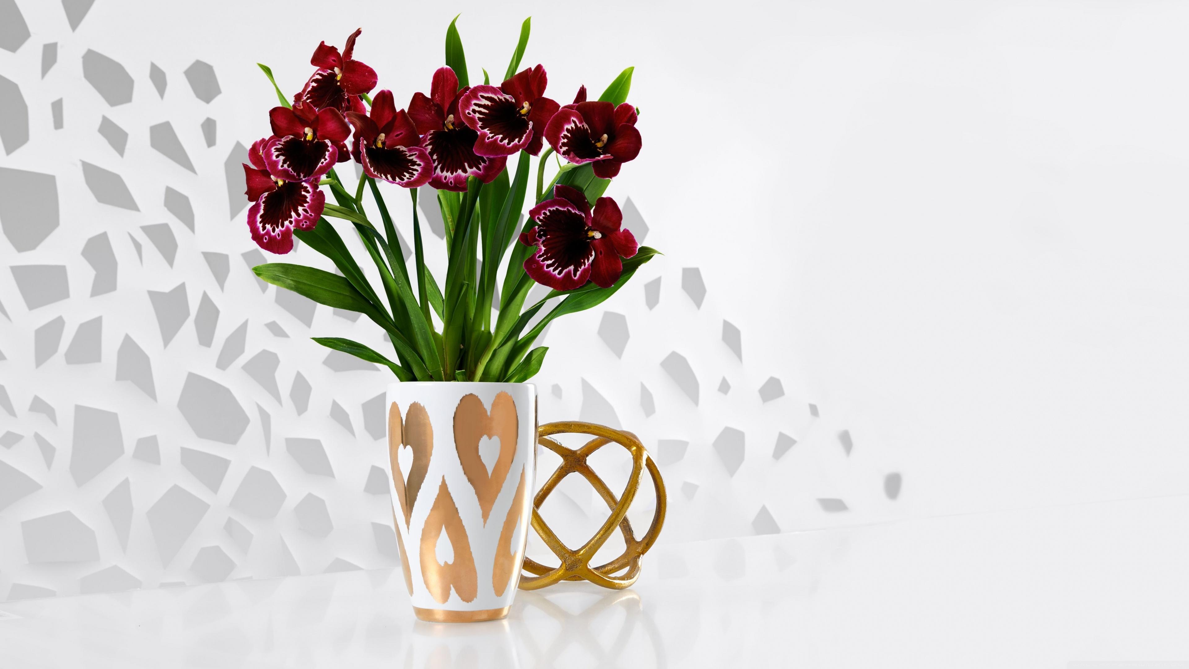Luxurious Flower Bouquet ❤ 4K HD Desktop Wallpaper for 4K Ultra HD