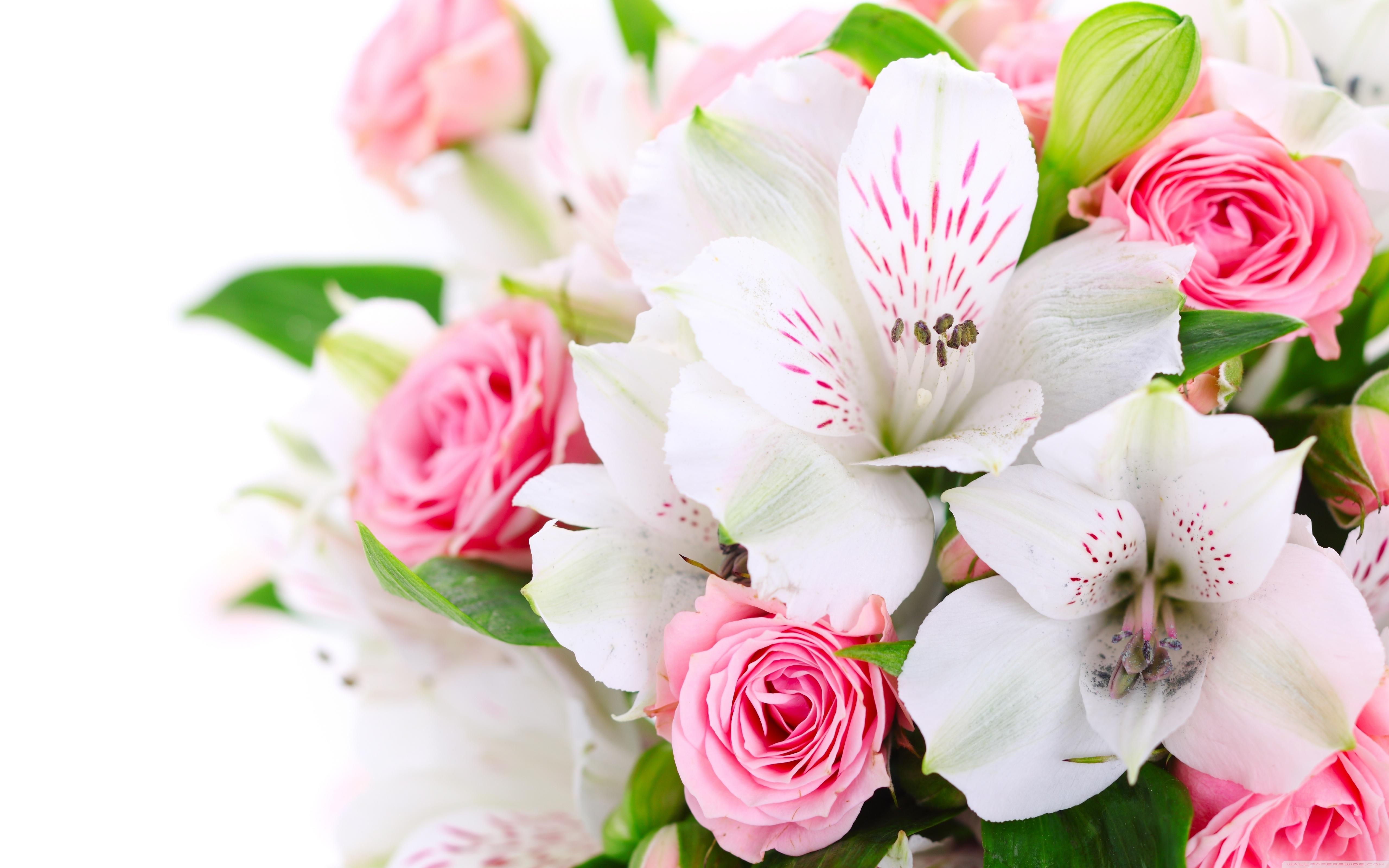 Bouquet Of Flowers Ultra HD Desktop Background Wallpaper for: Multi Display, Dual Monitor