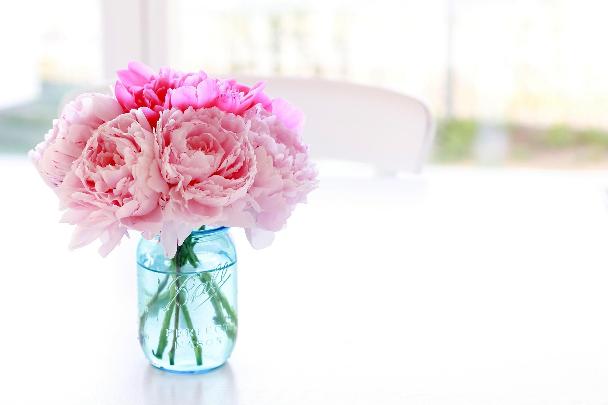 Peony Bouquet HD Wallpaper, Background Image