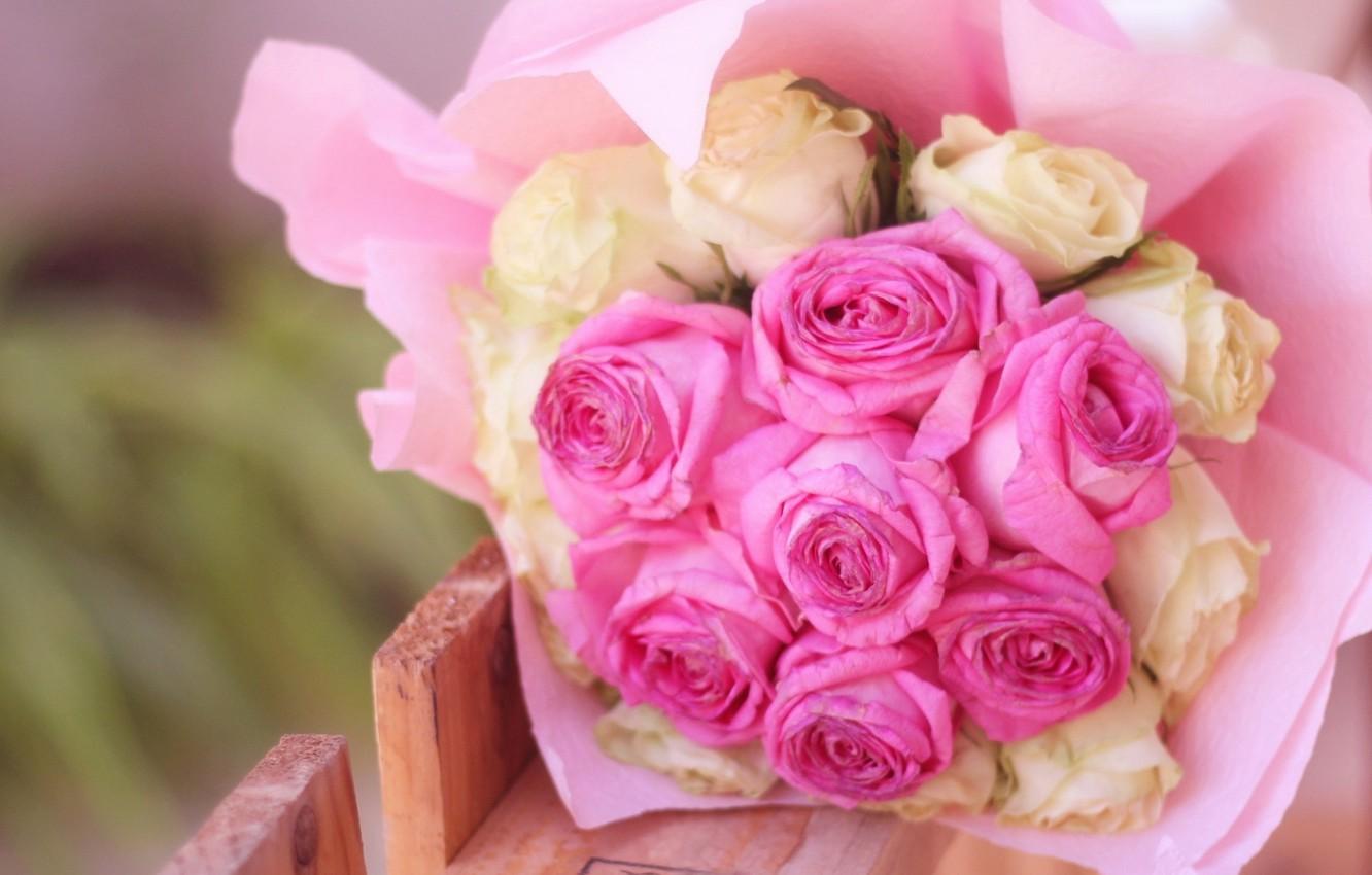 Wallpaper white, flowers, background, widescreen, Wallpaper, roses