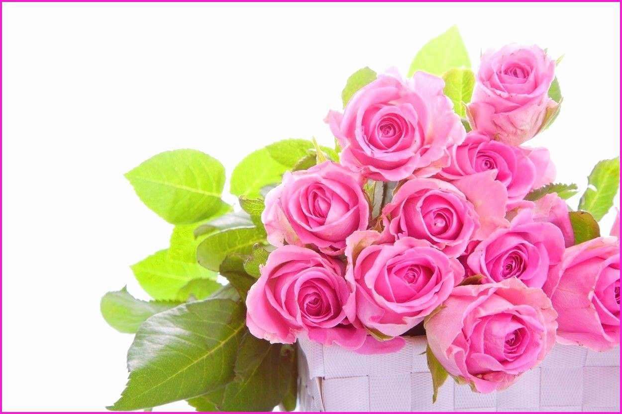 Flower Bouquet Pics Download astonishing Flower Bouquet Wallpaper