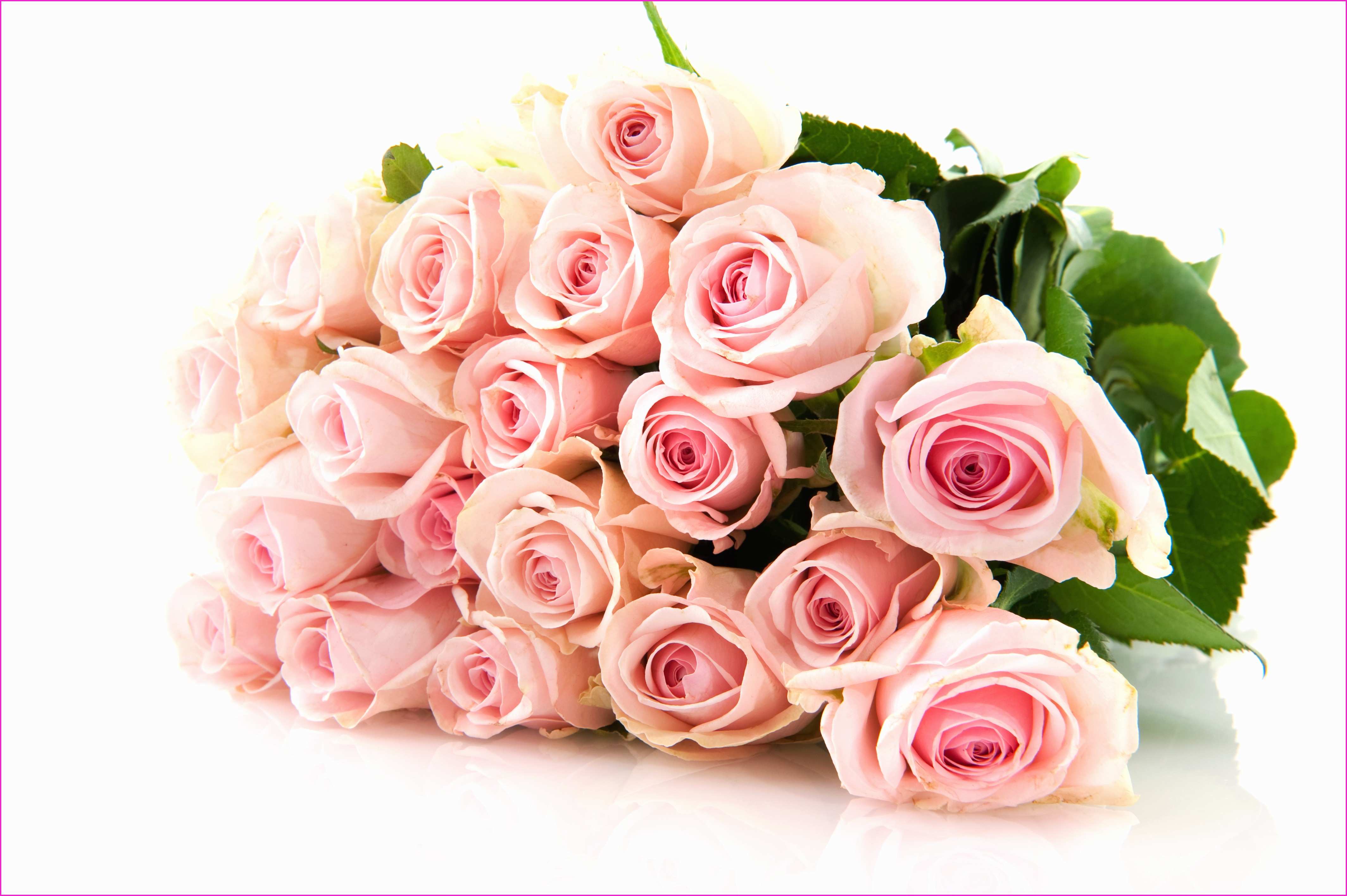 Pink Rose Bouquet Wallpaper Wonderfully Pink Roses Rose