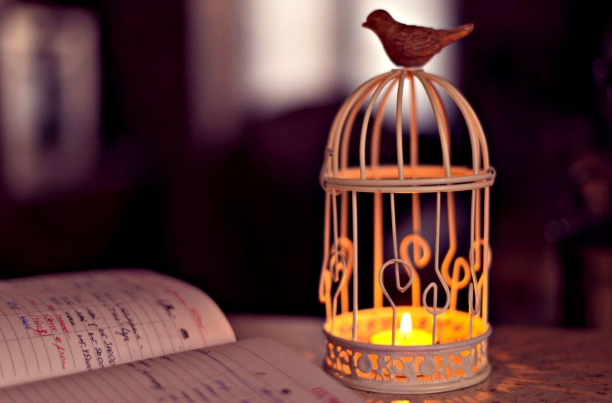 Mood Cell Lantern Bird Candle Light Notebook HD Wallpaper. Scroll