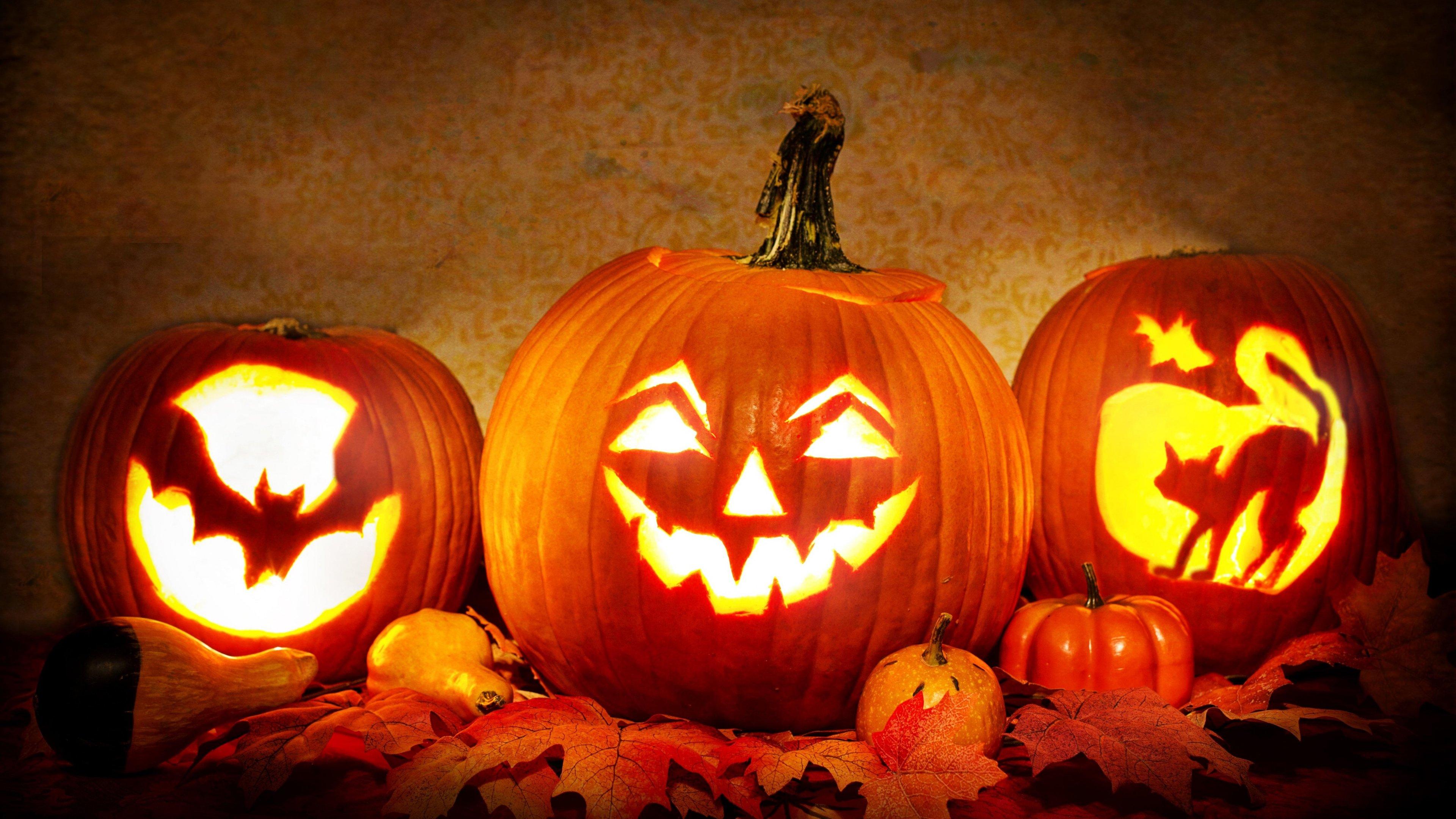 Jack o' Lantern Halloween Pumpkin Wallpaper, Android & Desktop Background