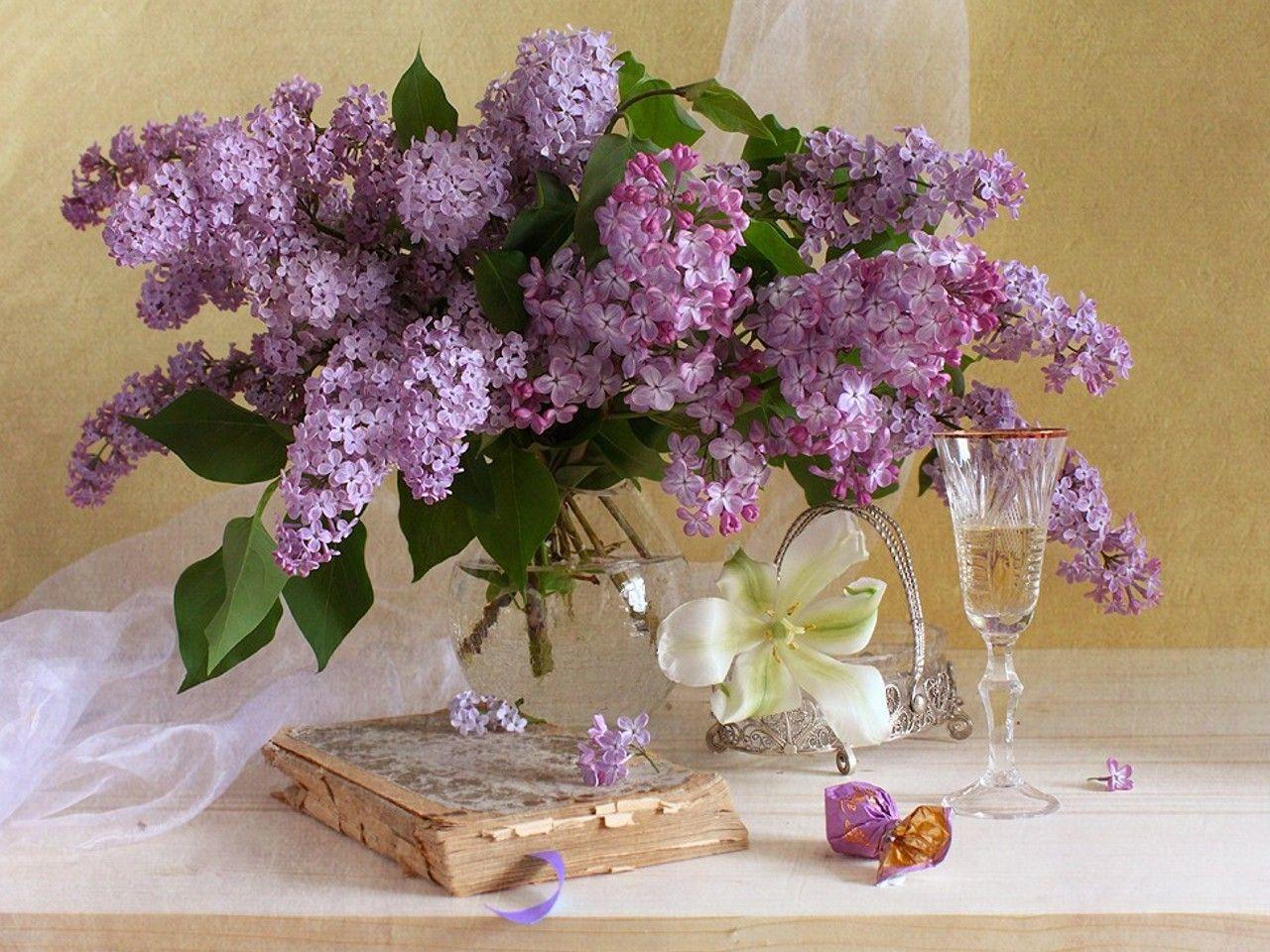 Still life colorful photography love lilac glass lilacs flowers
