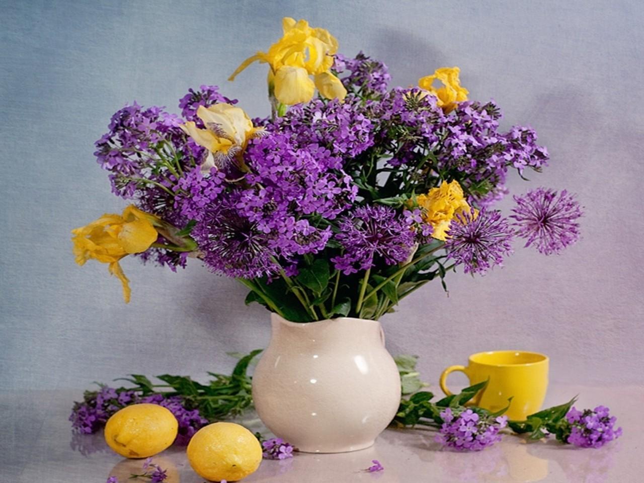 Tulip Petals Purple HD Wallpaper