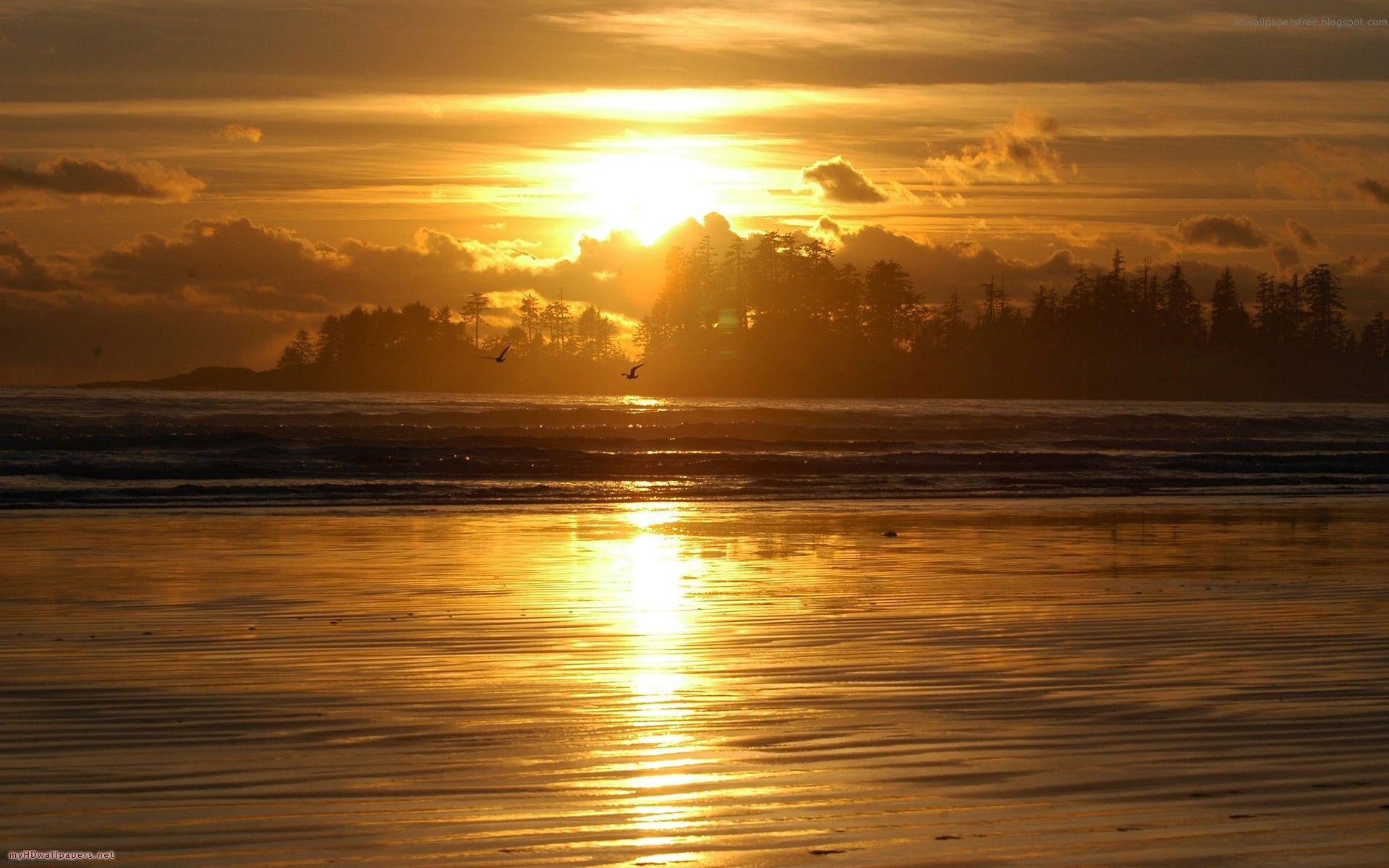 Golden Sunset. Stay Gold. Sunrise wallpaper, Sunrise lake, Sunset
