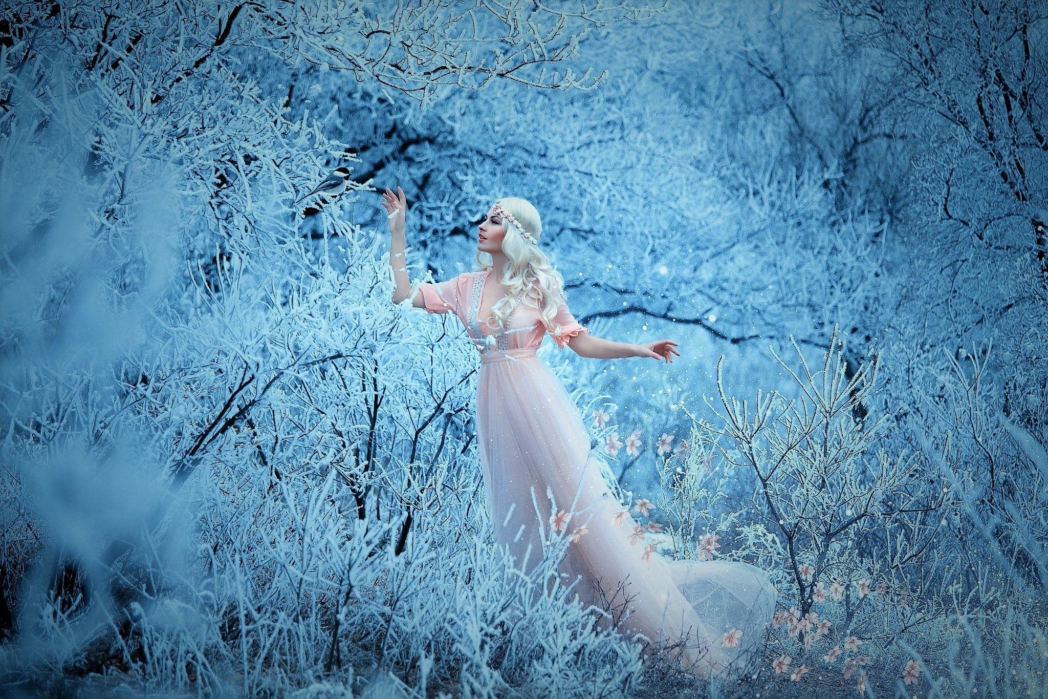 Girl, Woman, White Hair, Snow, Pink Dress, Fantasy, Forest