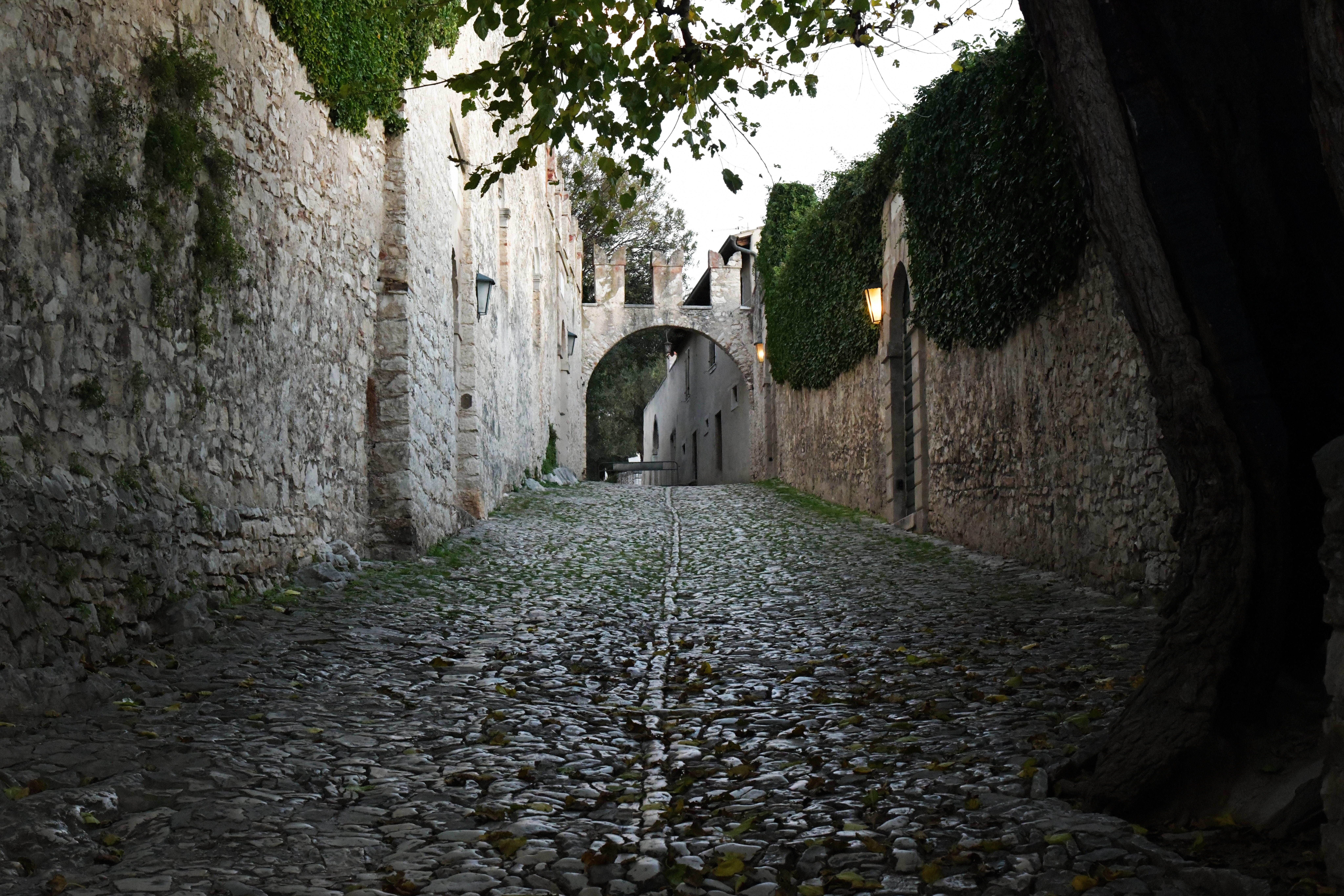 Free of medieval, old village, typical cobblestone