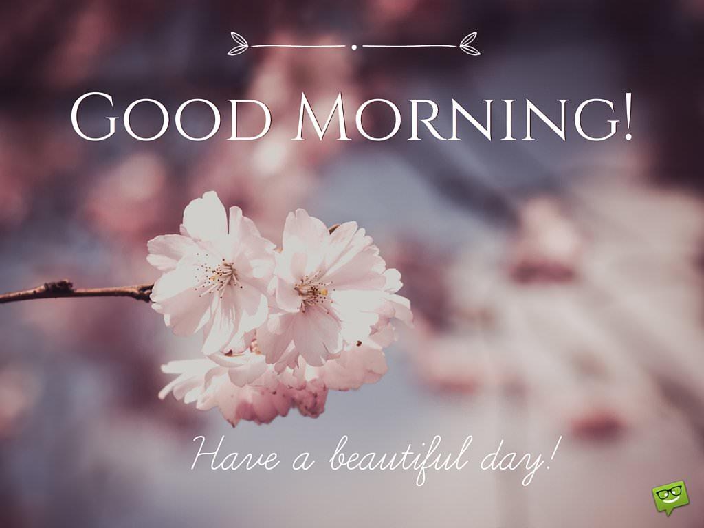 Glorious Morning Wallpapers Wallpaper Cave