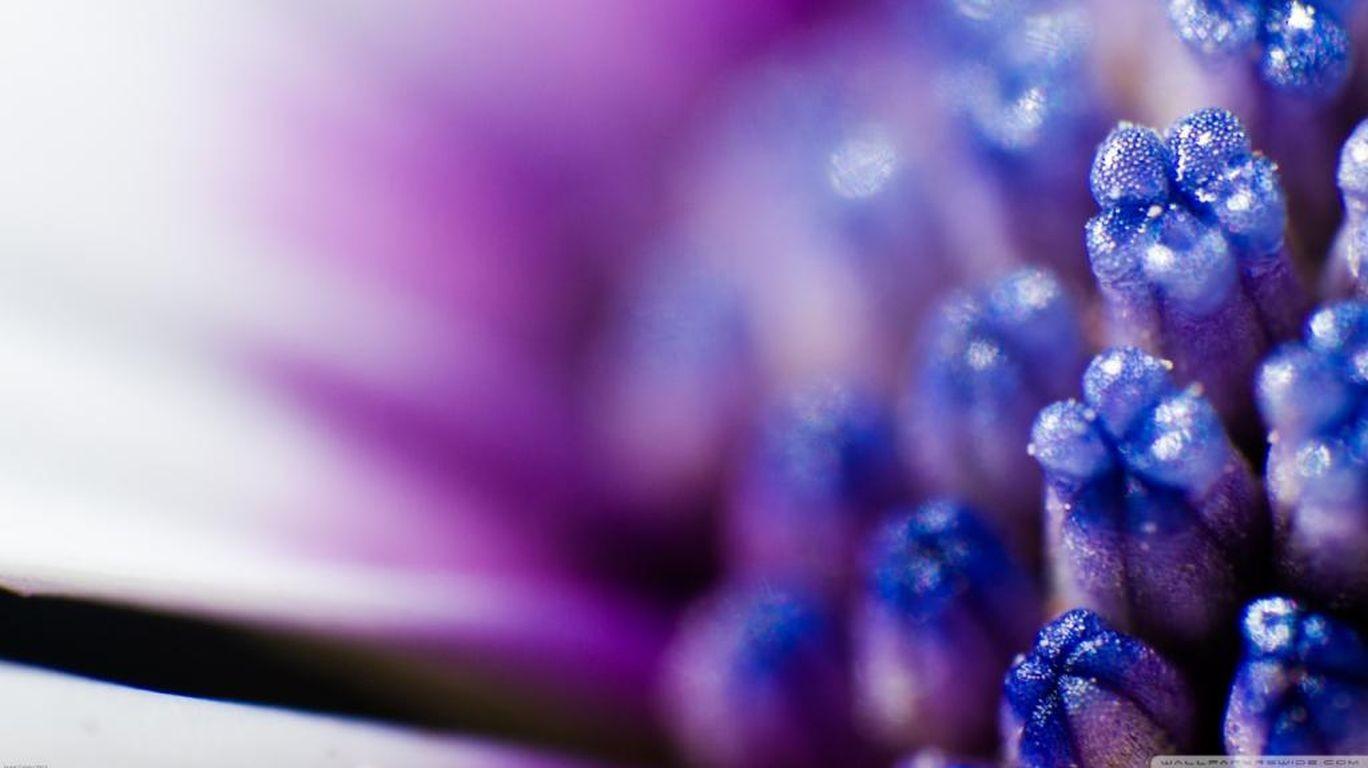 Cool HD Wallpaper Background Widescreen Dual Monitors HD