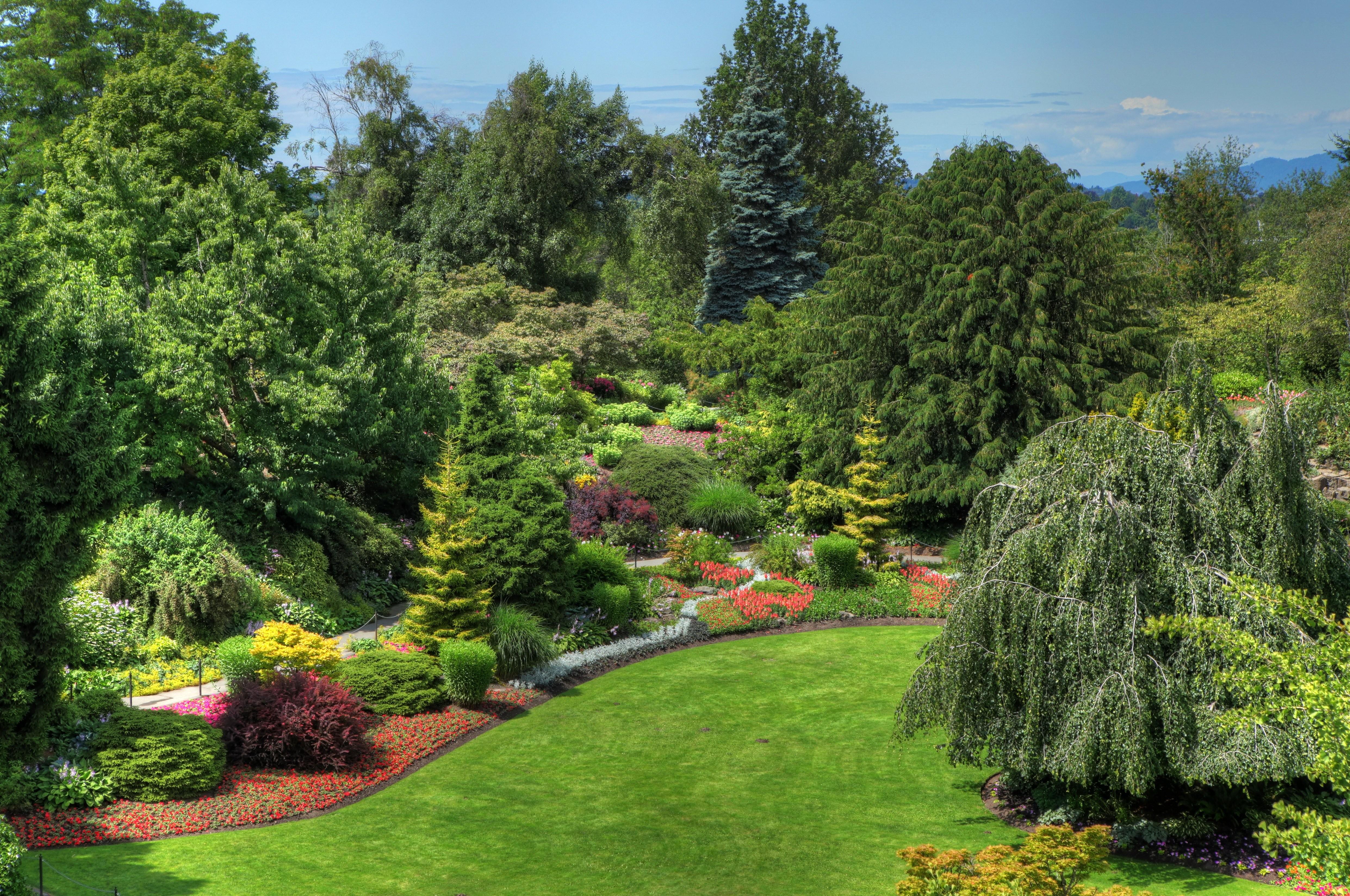 Gardens, Shrubs, Landscape, Garden, Trees Queen, widescreen