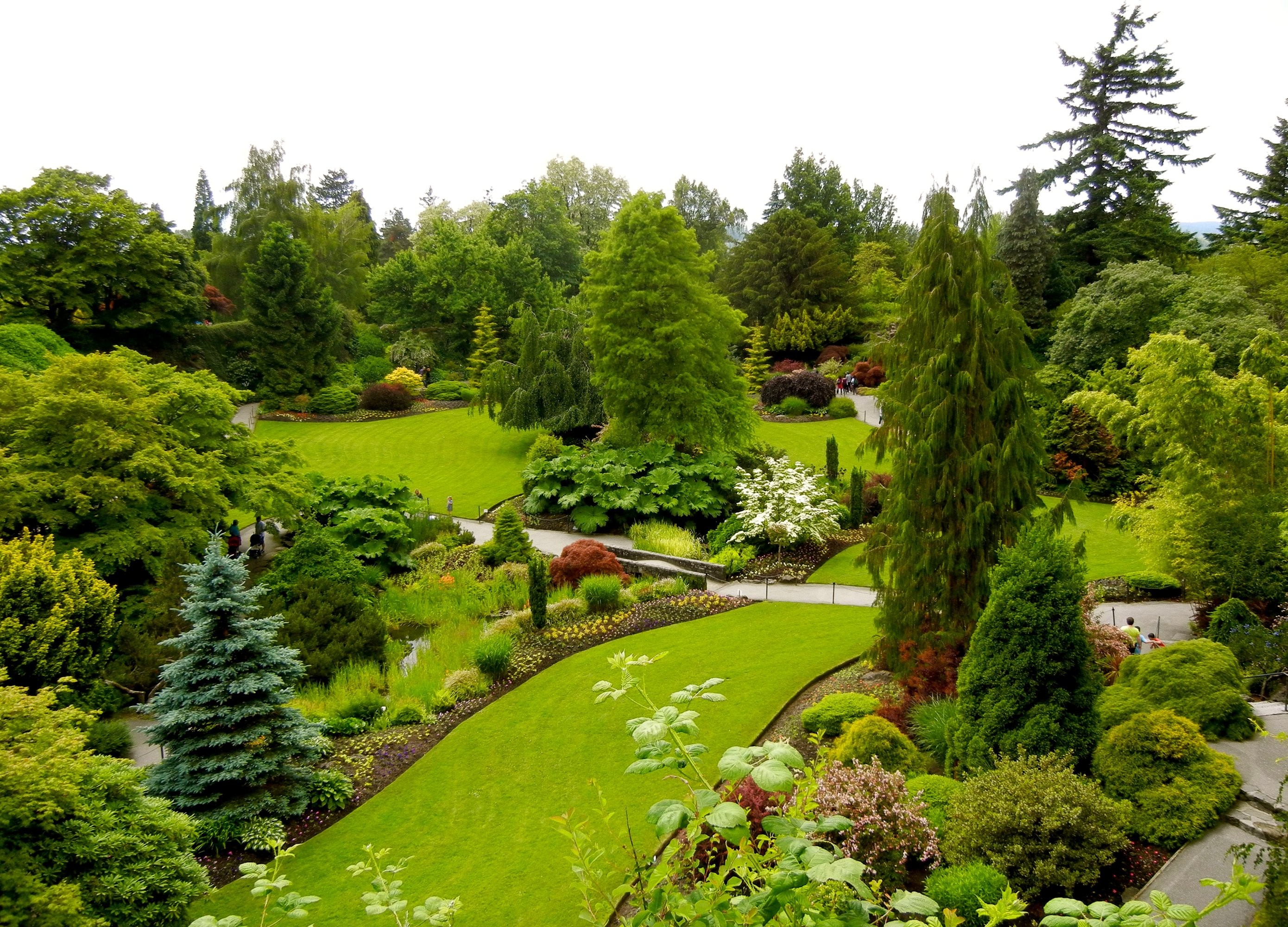 Gardens, Fir, canada, Nature, Garden, Queen, Shrubs, Trees Lawn