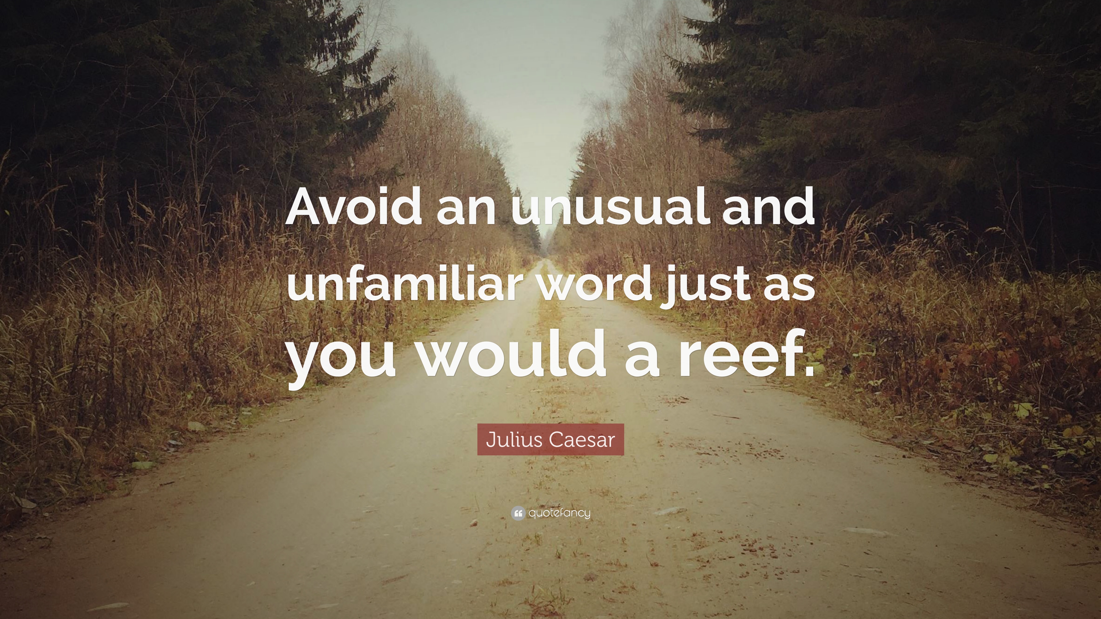 Julius Caesar Quote: “Avoid an unusual and unfamiliar word just as