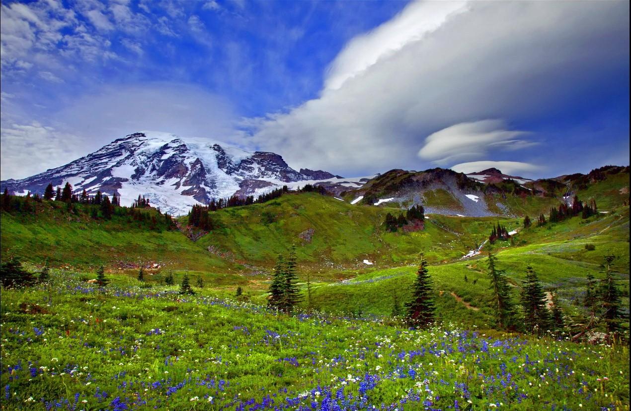 Mountain: Mountain Paradise Colorful Grass Fragrance Flowers Sky