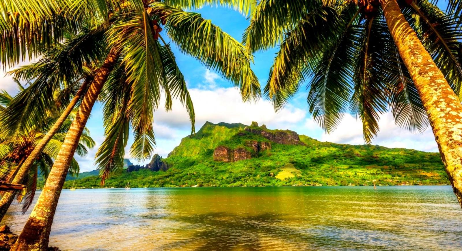 Beautiful Tropical Mountain Wallpaper HD