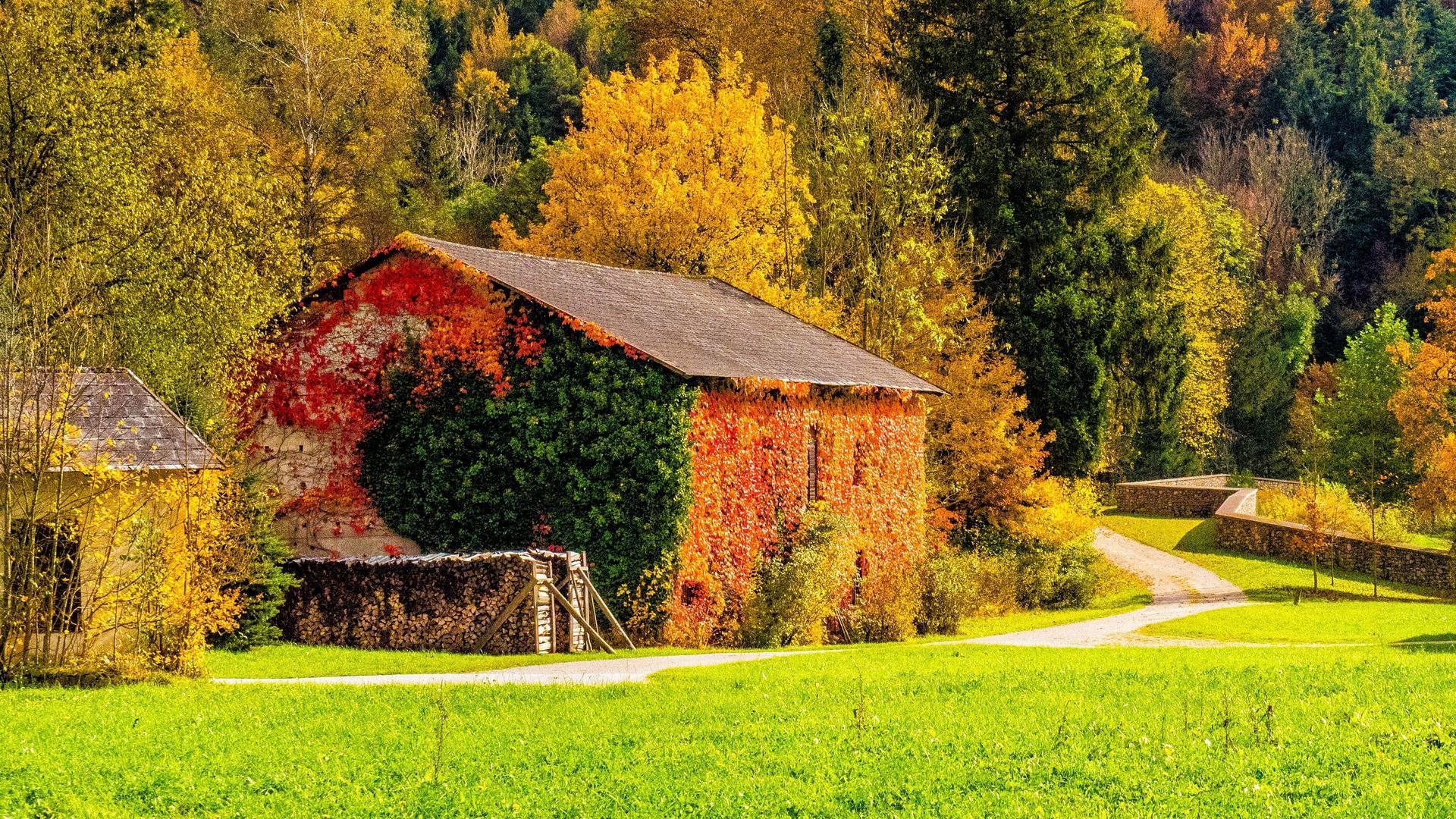 Green Grass and Old Cottage Autumn Nature Wallpaper