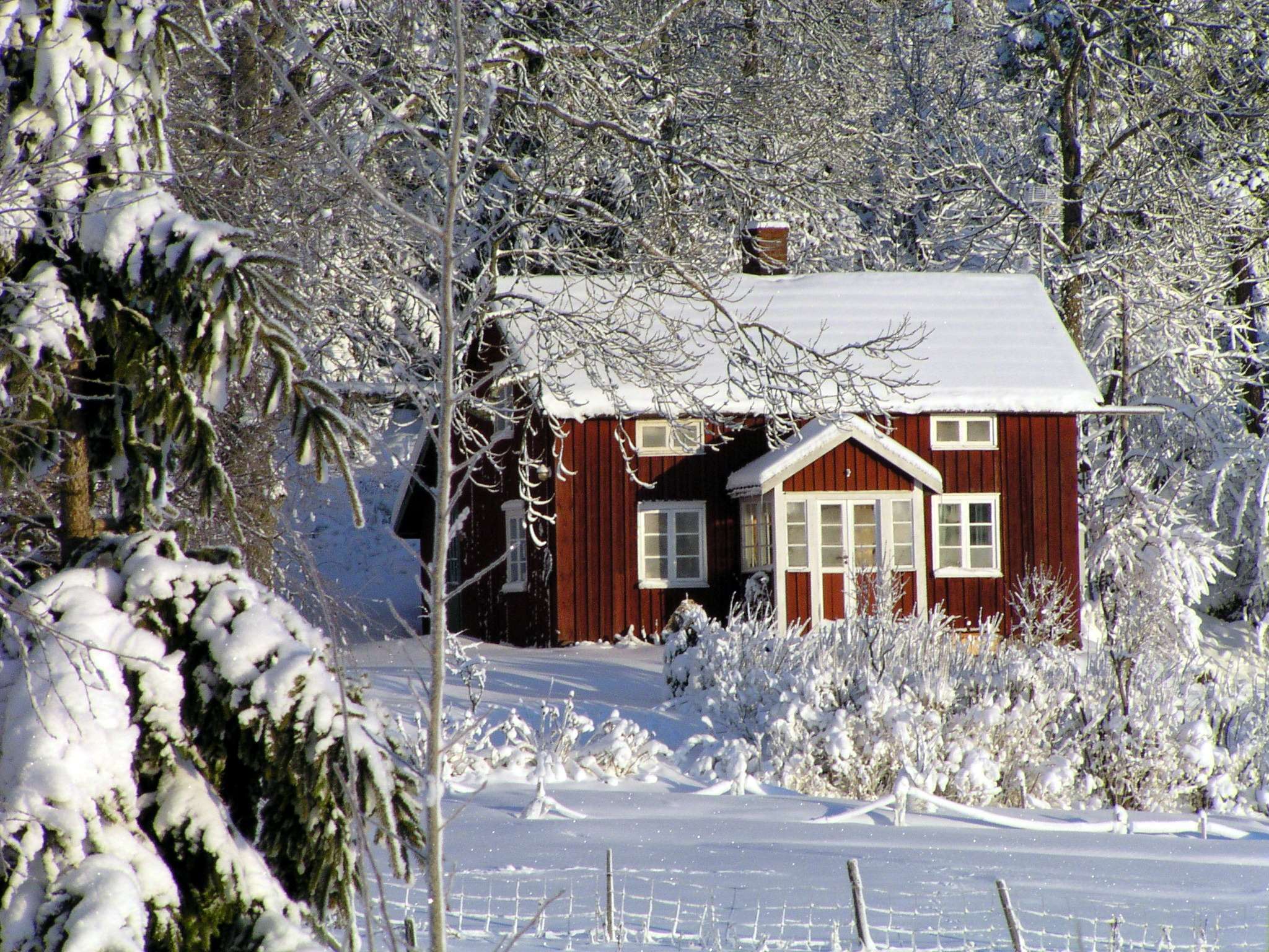 alone, cottage, dalsland, evocative, forest, garden, gran