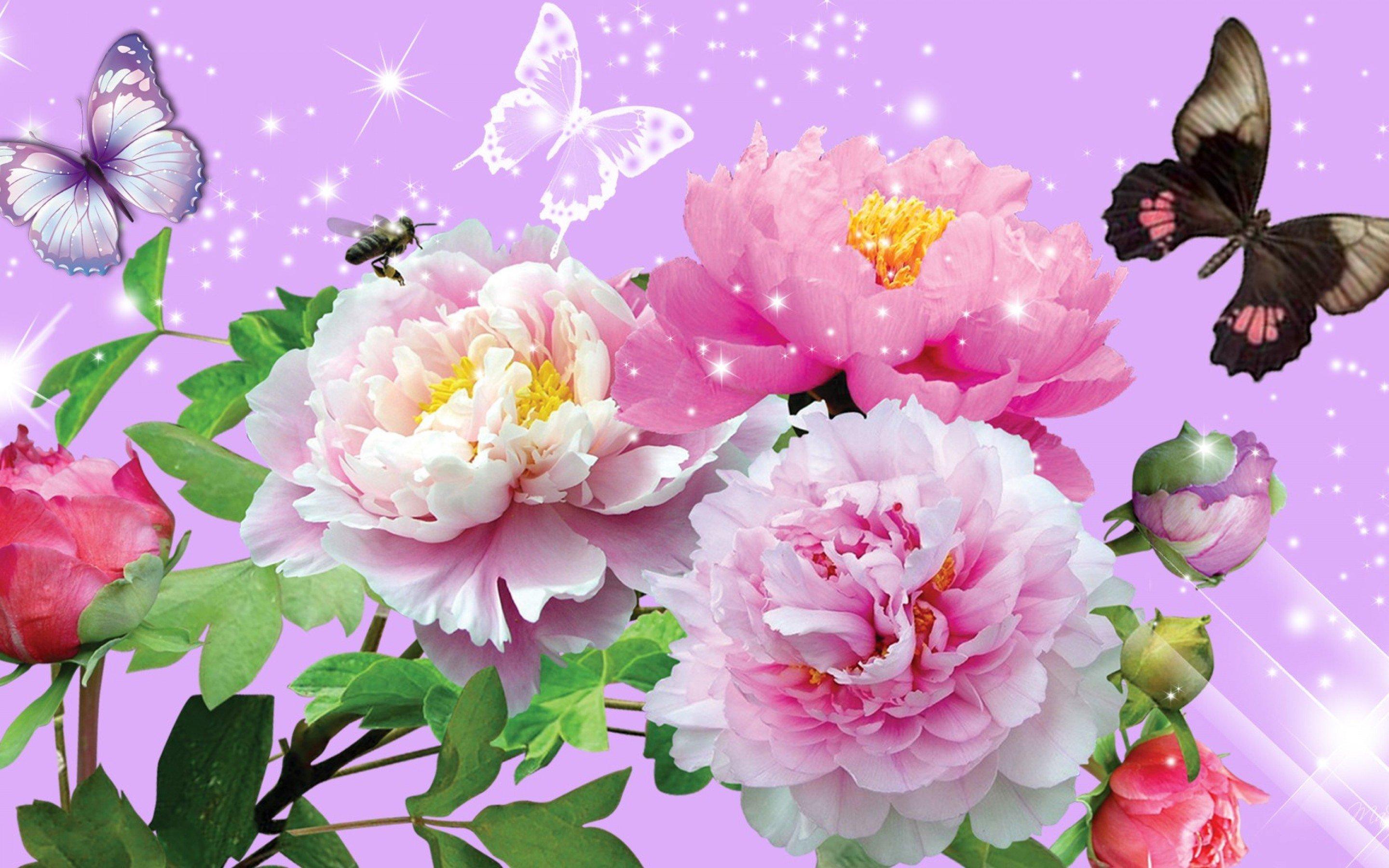 Pink Roses Butterfly Shine wallpaper