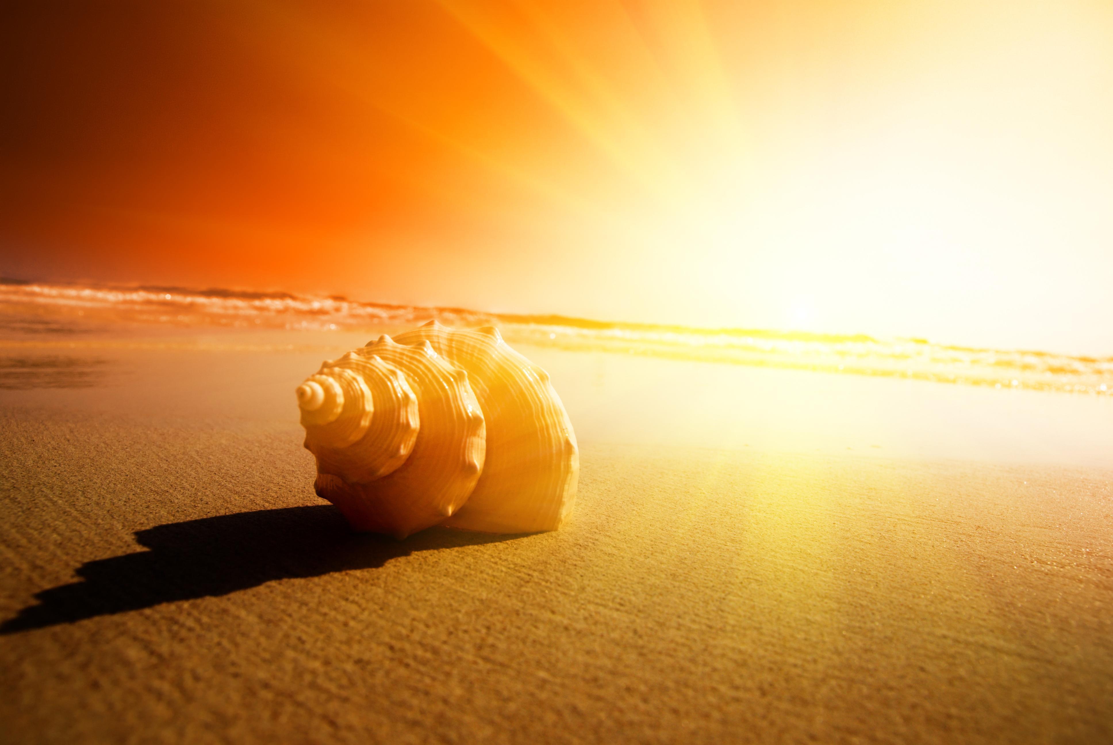 Free Sunshine, Download Free Clip Art, Free Clip Art on Clipart Library
