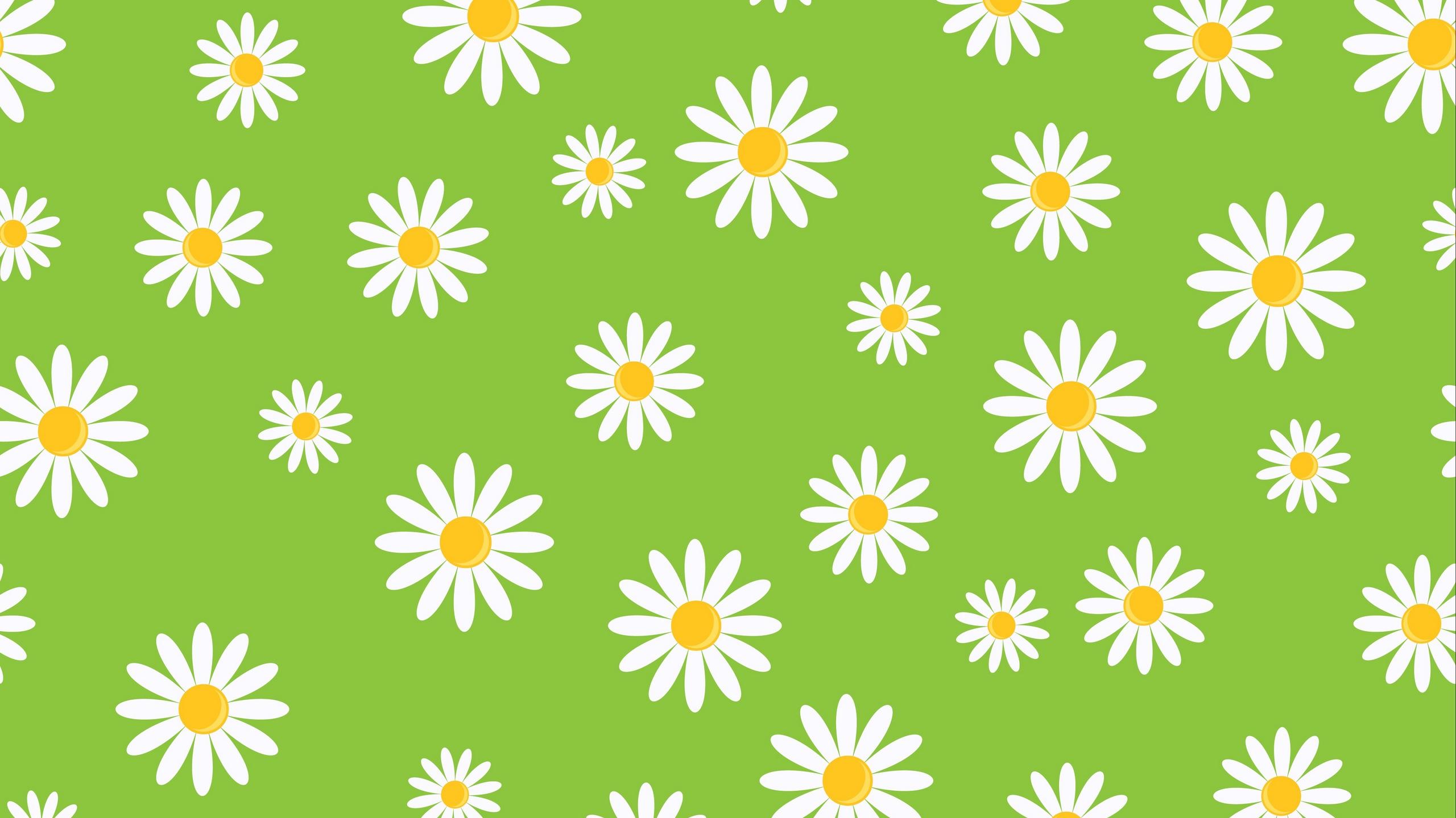 Download wallpaper 2560x1440 chamomile, patterns, texture, art
