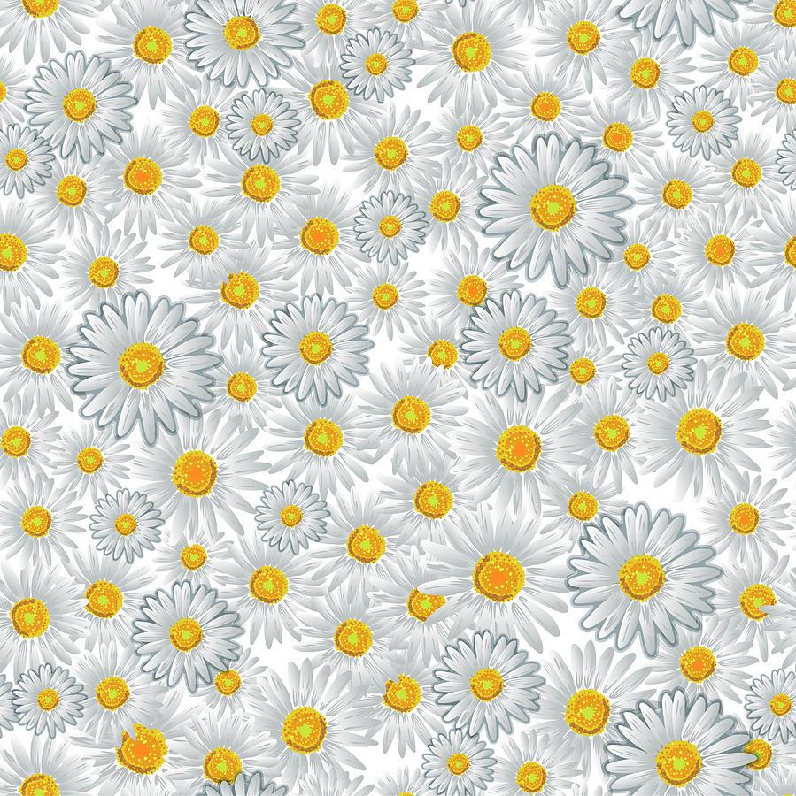 Seamless Pattern From Chamomiles, For Textiles, Wallpaper And As A Background