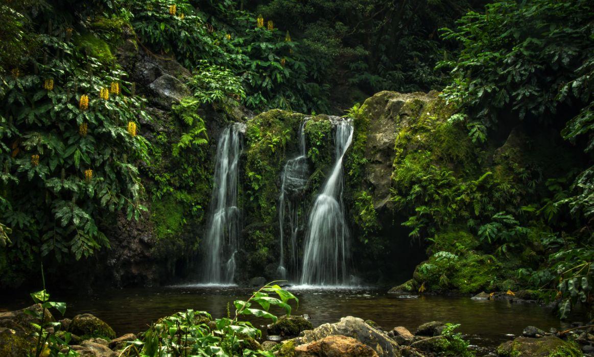 Azores Earth Forest Green Portugal Rock Waterfall wallpaper