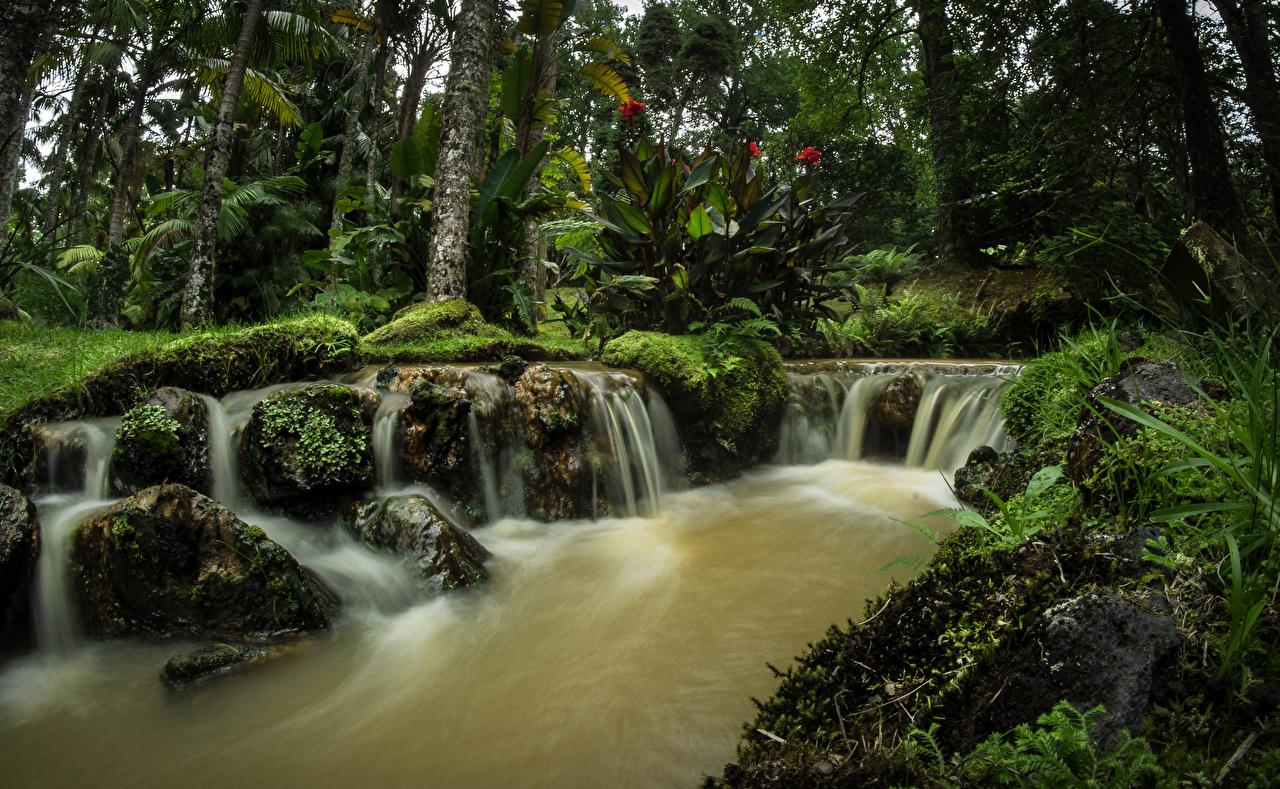 Wallpaper Portugal Terra Nostra Gardens Azores Nature Waterfalls