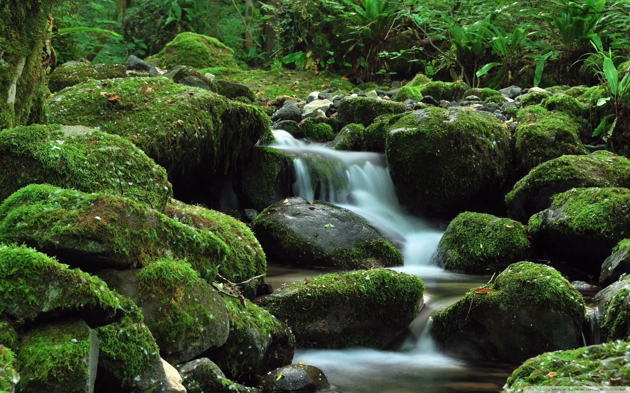 Download Small Waterfall HD Wallpaper