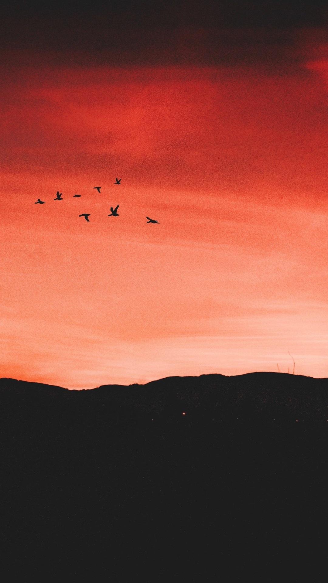Wallpaper Night, sunset, red sky, birds flight 3840x2160 UHD 4K