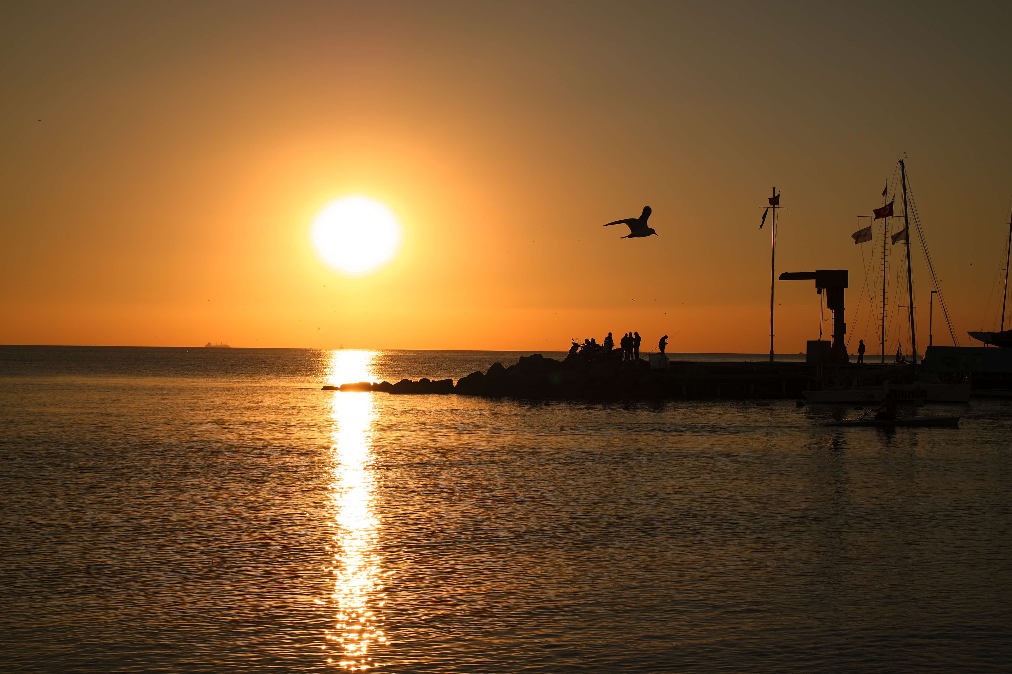 birds, boats, evening sun, pier, sea, seaside, silhouettes